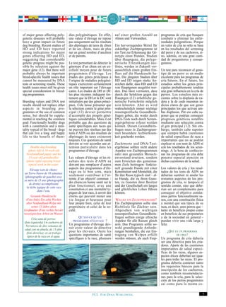 of major genes affecting poly-       dies polygénétiques. En effet,       auf einer großen Anzahl an          programas de cría que busquen
genetic diseases will probably       une valeur d‘élevage ne repose       Ahnen und Verwandten.               combatir y eliminar las enfer-
have a great impact on future        pas uniquement sur les résultats                                         medades poligenéticas. Porque
dog breeding. Recent studies of      des dépistages de tares du chien     Ein hervorragendes Mittel für       un valor de cría no sólo se basa
HD and ED have reported              et de ses chiots, mais de plus       zukünftige Zuchtprogramme ist       en los resultados del screening
strong indications for major         sur un grand nombre d‘ancêtres       ein Test zur Erkennung des Ge-      del perro y de sus cachorros, si-
genes affecting HD and ED,           et de parents.                       notyps eines Hundes. Studien        no, además, en una gran canti-
suggesting that considerable                                              über Hauptgene, die polyge-         dad de progenitores y consan-
genetic progress might be pos-       Le test permettant de détecter le    netische Erkrankungen aus-          guíneos.
sible by selection against the       génotype d‘un chien est un ex-       lösen, werden in Zukunft vor-
major gene (12). But there will      cellent moyen pour de futurs         aussichtlich einen großen Ein-      Un test para reconocer el geno-
probably always be important         programmes d‘élevage. Les            fluss auf die Hundezucht ha-        tipo de un perro es un medio
breed-specific health issues that    études des gènes principaux à        ben. Die jüngsten Studien über      excelente para los programas de
cannot be measured by DNA            l‘origine de maladies polygéné-      HD und ED zeigen starke An-         cría futuros. En el futuro, los
tests or screening results. These    tiques exerceront certainement       zeichen dafür, dass HD und ED       estudios sobre los genes prin-
health issues must still be given    un rôle important sur l‘élevage      von Hauptgenen ausgelöst wer-       cipales probablemente tendrán
special consideration in breed-      canin. Les études de DH et DC        den. Das lässt vermuten, dass       una gran influencia en la cría de
ing programmes.                      les plus récentes indiquent for-     durch die Selektion gegen das       perros. Los estudios más re-
                                     tement que la DH et la DC sont       Hauptgen (12) erhebliche ge-        cientes sobre la displasia de ca-
Breeding values and DNA test         initialisées par des gènes princi-   netische Fortschritte möglich       dera y la de codo muestran in-
results should not replace other     paux. Cela laisse présumer que       sein könnten. Aber es wird          dicios claros de que son genes
aspects in breeding pro-             la sélection contre le gène prin-    wahrscheinlich immer wichtige       principales los que activan am-
grammes or the use of common         cipal (12) devrait permettre         rassenspezifische Gesundheits-      bas displasias. Por eso cabe su-
sense, but should be supple-         d‘accomplir des progrès géné-        fragen geben, die weder durch       poner que se podrían conseguir
mental in reaching the common        tiques considérables. Mais il est    DNA-Tests noch durch Screen-        progresos genéticos notables
goal: Functionally healthy dogs      probable que des questions de        ingergebnisse erfasst werden        mediante una selección contra
with a constitution and a men-       santé spécifiques aux races qui      können. Diesen Gesundheits-         el gen principal (12). Sin em-
tality typical of the breed - dogs   ne peuvent être résolues par des     fragen muss in Zuchtprogram-        bargo, también cabe suponer
that can live a long and happy       tests d‘ADN ou des résultats de      men besondere Aufmerksam-           que siempre habrá cuestiones
life to the benefit of them-         dépistages de tares existeront       keit geschenkt werden.              de salud específicas de raza e
                                     toujours. Ces questions de santé                                         importantes que no se podrán
                                     doivent se voir accorder une at-     Zuchtwerte und DNA-Test-            explicar ni con tests de ADN ni
       Healthy dog breeding:         tention particulière dans les        ergebnisse sollten nicht andere     con los resultados de los scree-
     (photo left) A 10-week-old      programmes d‘élevage.                Aspekte von Zuchtprogrammen         nings. A la hora de confeccio-
   Newfoundland puppy and his                                             oder den gesunden Mensch-           nar los programas de cría debe
     13-year-old grandmother         Les valeurs d‘élevage et les ré-     enverstand ersetzen, sondern        ponerse especial atención en
   (photo right) enjoying breed-     sultats des tests d‘ADN ne           zum Erreichen des gemeinsa-         dichas cuestiones de la salud.
     typical work in the water.      doivent pas remplacer d‘autres       men Ziels beitragen: funktio-
      Elevage sain de chiens:        aspects des programmes d‘éle-        nell gesunde Hunde mit einer        Los valores de cría y los resul-
 un Terre-Neuve de 10 semaines       vage ou le bon sens, mais            Konstitution und Mentalität, die    tados de los tests de ADN no
  (photographie de gauche) avec      seulement contribuer à l‘at-         für ihre Rasse typisch sind – al-   deberían sustituir ni anular los
 sa mère de 13 ans (photographie     teinte d‘un objectif commun :        so Hunde, die zu ihren Guns-        restantes aspectos de los pro-
     de droite) accomplissant        des chiens en bonne santé sur le     ten, zu Gunsten ihrer Besitzer      gramas de cría, ni tampoco el
   la tâche typique de cette race    plan fonctionnel, avec une           und der Gesellschaft ein langes     sentido común, sino que debe-
            dans l‘eau.              constitution et une mentalité ty-    und glückliches Leben führen        rían ser un complemento para
                                     piques de leur race, à savoir des    können.                             conseguir el objetivo común:
       Gesunde Hundezucht:           chiens qui peuvent mener une                                             unos perros funcionalmente sa-
   (Foto links) Ein zehn Wochen      vie longue et heureuse pour          WAS IST EIN ZUCHTPROGRAMM?          nos, con una constitución física
   alter Neufundland-Welpe mit       leur propre bien, celui de leur      Ein Zuchtprogramm sollte eine       y mental que sea típica de su
       seiner 13 Jahre alten         propriétaire et celui de la so-      Richtlinie für Züchter sein.        raza, es decir, unos perros que –
 Großmutter (Foto rechts) bei der    ciété.                               Abgesehen von wichtigen             tanto en beneficio propio como
 rassetypischen Arbeit im Wasser.                                         rassespezifischen Gesundheits-      en beneficio de sus propietarios
        Cría sana de perros:               QU‘EST-CE QU‘UN                fragen sollten einige ethische      y de la sociedad en general -
                                        PROGRAMME D‘ÉLEVAGE      ?        Aspekte für alle Rassen gleich      puedan vivir una vida larga y
 (foto izquierda) Un cachorro de
  Terranova de diez semanas de       Un programme d‘élevage dev-          sein. Das Programm sollte so-       feliz.
 edad con su abuela, de 13 años      rait avoir valeur de directive       wohl grundlegende Anforde-
   (foto derecha), en un trabajo     pour les éleveurs. Outre les         rungen beinhalten, die zur Ein-          ¿QUÉ ES UN PROGRAMA
    típico de la raza en el agua.    questions importantes de santé       tragung von Welpen erfüllt                      DE CRIA?
                                     spécifiques à la race, plusieurs     werden müssen, als auch Emp-        Un programa de cría debería
                                                                                                              ser una directiva para los cria-
                                                                                                              dores. Aparte de las cuestiones
                                                                                                              importantes de salud especí-
                                                                                                              ficas de las razas, algunos as-
                                                                                                              pectos éticos deberían ser igua-
                                                                                                              les para todas las razas. El pro-
                                                                                                              grama debería contener tanto
                                                                                                              los requisitos básicos para la
                                                                                                              inscripción de los cachorros,
                                                                                                              como también recomendacio-
                                                                                                              nes para la cría, para la selec-
                                                                                                              ción de los perros progenitores
                                                                                                              así como para la monta co-


                                                       FCI. FOR DOGS WORLDWIDE.                                                               7
 