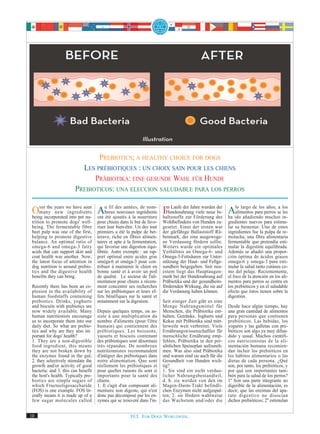 PREBIOTICS; A HEALTHY CHOICE FOR DOGS
                          LES PRÉBIOTIQUES : UN CHOIX SAIN POUR LES CHIENS
                              PRÄBIOTIKA: EINE GESUNDE WAHL FÜR HUNDE
                        PREBIOTICOS: UNA ELECCION SALUDABLE PARA LOS PERROS

 Overincorporatedweinto petseen ont uété ajoutés à la ingrédients Im Laufe der Jahre wurden des ha idolargo de losperros se los
       the years     have              fil des années, de nom-
     many new ingredients Abreux nouveaux
 being                      nu-
                                                                                            der    lo
                                                                   Hundenahrung viele neue In- Aalimentos para
                                                       nourriture haltsstoffe zur Förderung
                                                                                                                   años, a
                                                                                                       añadiendo muchos in-
                                                                                                                            les
 trition to promote dogs' well-      pour chiens dans le but de favo-    Wohlbefindens von Hunden zu-      gredientes nuevos para estimu-
 being. The fermentable fibre        riser leur bien-être. Un des tout   gesetzt. Einer der ersten war     lar su bienestar. Uno de estos
 beet pulp was one of the first,     premiers a été la pulpe de bet-     der gärfähige Ballaststoff Rü-    ingredientes fue la pulpa de re-
 helping to promote digestive        terave, riche en fibres alimen-     benmark, der eine ausgewoge-      molacha, una fibra alimentaria
 balance. An optimal ratio of        taires et apte à la fermentation,   ne Verdauung fördern sollte.      fermentable que pretendía esti-
 omega-6 and omega-3 fatty           qui favorise une digestion équi-    Weiters wurde ein optimales       mular la digestión equilibrada.
 acids that can support skin and     librée. Autre exemple : un rap-     Verhältnis an Omega-6- und        Además se añadió una propor-
 coat health was another. Now,       port optimal entre acides gras      Omega-3-Fettsäuren zur Unter-     ción óptima de ácidos grasos
 the latest focus of attention in    oméga-6 et oméga-3 pour con-        stützung der Haut- und Fellge-    omega-6 y omega-3 para esti-
 dog nutrition is around prebio-     tribuer à maintenir le chien en     sundheit beigegeben. Seit neu-    mular la salud tanto cutánea co-
 tics and the digestive health       bonne santé et à avoir un poil      estem liegt das Hauptaugen-       mo del pelaje. Recientemente,
 benefits they can bring.            de qualité. Le secteur de l'ali-    merk bei der Hundenahrung auf     el foco de la atención en los ali-
                                     mentation pour chiens a récem-      Präbiotika und der gesundheits-   mentos para perros se centra en
 Recently there has been an ex-      ment concentré ses recherches       fördernden Wirkung, die sie auf   los prebióticos y en el saludable
 plosion in the availability of      sur les prébiotiques et leurs ef-   die Verdauung haben können.       efecto que éstos tienen sobre la
 human foodstuffs containing         fets bénéfiques sur la santé et                                       digestión.
 prebiotics. Drinks, yoghurts        notamment sur la digestion.         Seit einiger Zeit gibt es eine
 and biscuits with prebiotics are                                        Menge Nahrungsmittel für          Desde hace algún tiempo, hay
 now widely available. Many          Depuis quelques temps, on as-       Menschen, die Präbiotika ent-     una gran cantidad de alimentos
 human nutritionists encourage       siste à une multiplication du       halten. Getränke, Joghurts und    para personas que contienen
 us to incorporate them into our     nombre d'aliments (pour l'être      Kekse mit Präbiotika sind mitt-   prebióticos. Las bebidas, los
 daily diet. So what are prebio-     humain) qui contiennent des         lerweile weit verbreitet. Viele   yogures y las galletas con pre-
 tics and why are they also im       prébiotiques. Les boissons,         Ernährungswissenschaftler für     bióticos son algo ya muy difun-
 portant for dogs' health?           yaourts et biscuits contenant       menschliche Ernährung emp-        dido y usual. Muchos científi-
 1. They are a non-digestible        des prébiotiques sont désormais     fehlen, Präbiotika in den per-    cos nutricionistas de la ali-
 food ingredient, this means         très répandus. De nombreux          sönlichen Speiseplan aufzuneh-    mentación humana recomien-
 they are not broken down by         nutritionnistes recommandent        men. Was also sind Präbiotika     dan incluir los prebióticos en
 the enzymes found in the gut;       d'intégrer des prébiotiques dans    und warum sind sie auch für die   los hábitos alimentarios o las
 2. they selectively stimulate the   notre alimentation. Que sont        Gesundheit von Hunden wich-       dietas de cada persona. ¿Qué
 growth and/or activity of good      réellement les prébiotiques et      tig?                              son, por tanto, los prebióticos, y
 bacteria: and 3. this can benefit   pour quelles raisons ils sont si    1. Sie sind ein nicht verdau-     por qué son importantes tam-
 the host's health. Typically pre-   importants pour la santé des        licher Nahrungsbestandteil,       bién para la salud de los perros?
 biotics are simple sugars of        chiens.                             d. h. sie werden von den im       1º Son una parte integrante no
 which Fructooligosaccharide         1. Il s'agit d'un composant ali-    Magen-Darm-Trakt befindli-        digerible de la alimentación, es
 (FOS) is one example. FOS lit-      mentaire non digeste, qui n'est     chen Enzymen nicht aufgespal-     decir, que las enzimas del apa-
 erally means it is made up of a     donc pas décomposé par les en-      ten; 2. sie fördern wahlweise     rato digestivo no disocian
 few sugar molecules called          zymes qui se trouvent dans l'in-    das Wachstum und/oder die         dichos prebióticos; 2º estimulan


10                                                     FCI. FOR DOGS WORLDWIDE.
 