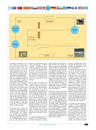 Pen                                                    Bridge


    Immobili-
      zation                                                                                                        Stop


                                     Difficult
                                     passages

      Stop




                                                                 Traffic                                     Graze


the herding competitions. Up to      épreuves internationales pour        prägte Region in Frankreich.       las que se pretende dar la opor-
now, herding competitions            chiens de troupeaux. A l'heure       Hier werden viele Schafe ge-       tunidad de demostrar en las
have been held in the FCI            actuelle, des épreuves pour          halten, um auch die unzugäng-      pruebas sus habilidades como
member countries. The com-           chiens de troupeaux sont orga-       lichen Weiden zu nutzen. Die       pe-rros de pastoreo.
mission focuses on not very          nisées dans les pays membres         Herden müssen beaufsichtigt        En el área continental, las raí-
widely spread and very old na-       de la FCI. Le travail de la com-     und "gehütet" werden. Als aus-     ces de los concursos de pasto-
tional breeds of dog, to give        mission est axé sur des races        geprägteste Haltungsform ist       reo radican en la "Auvergne",
them the chance of appearing in      peu répandues et très anciennes      hier die klassische Wandervieh-    una región en Francia que se
competitions as herding dogs.        qui ont ainsi l'opportunité de       wirtschaft zu nennen, bei der      caracteriza por su actividad
The roots of herding competi-        démontrer leurs aptitudes de         die Schäfer sehr große Entfer-     volcánica. En esta región hay
tions in continental Europe lie      chiens de bergers lors des           nungen mit ihren Herden zu-        mucha ganadería ovejera que
in the "Auvergne", a region of       épreuves.                            rücklegen mussten um Futter        aprovecha los pastos de difícil
France largely shaped by volca-                                           für ihre Tiere (Schafe) zu fin-    acceso. Los rebaños requieren
nism. Many flocks of sheep are       Sur le continent européen, les       den. Nur arbeitsfreudige, ge-      vigilancia y pastoreo. La forma
kept there to make use of the        origines des concours pour           sunde und hoch veranlagte          más característica, aquí, de
inaccessible meadows. The            chiens de berger se situent en       Hütehunde waren bzw. sind in       mantener los rebaños es la clá-
flocks have to be watched and        Auvergne, une région française       der Lage den Hirten entsprech-     sica trashumancia, en la que los
"herded". The most widely            très volcanique. On y trouve         end zu unterstützen.               pastores recorren grandes dis-
spread form of animal husband-       une multitude de moutons, ce                                            tancias con sus rebaños para
ry there is the classic free-range   qui permet notamment d'exploi-       Im Oktober letzten Jahres fand     encontrar alimento para sus ani-
system where the shepherds           ter des pâturages difficiles d'ac-   die erste Europameisterschaft      males (ovejas). Por tanto, sólo
have to cover wide expanses of       cès. Les troupeaux doivent être      im "Traditional-Style" in der      los perros de pastoreo sanos,
countryside with their flocks in     surveillés et "conduits". La         "Auvergne" statt. Der Bewerb       con las habilidades necesarias y
order to find grazing for their      forme de travail la plus mar-        erfolgte nach den "FCI Interna-    una buena predisposición al tra-
animals (sheep). Only healthy,       quante est la conduite itinérante    tional Rules for Herding-Trials"   bajo pueden ofrecer la ayuda y
well-disposed herding dogs           des troupeaux lors de laquelle       Stufe 3. Dies beinhaltet das       el apoyo necesarios al pastor.
which are happy to work were         les bergers doivent parcourir de     Ein- und Auspferchen, Führen
or are able to assist the shep-      grandes distances avec leurs         der Herde, Gehüt, Verkehrsprü-     En octubre del año pasado se
herd to a sufficient extent.         troupeaux afin de trouver de la      fung, Stoppen der Herde und        celebró el primer Campeonato
                                     nourriture pour leurs moutons.       diverse Hindernisse. Der Par-      Europeo en "estilo tradicional",
In October last year the first       Seuls des chiens de berger ar-       cours war innerhalb 35 Minu-       en la "Auvergne". El concurso
European Championship in             dents au travail, sains et doués     ten mit 30 Schafen zu bewälti-     se realizó conforme al "Regla-
"traditional style" took place in    étaient et sont en mesure d'ap-      gen. Rassen wie der Beauceron,     mento internacional de la FCI
the "Auvergne". The competi-         porter l'aide nécessaire aux ber-    Pyrenäen-Schäferhund, Deut-        para pruebas de pastoreo (FCI
tion was held in accordance          gers.                                scher Schäferhund, Malinois,       International Rules for Her-
with the "FCI International Ru-                                           Katalanischer Schäferhund und      ding-Trials)", fase 3. Por tanto,
les for Herding Trials", level 3.    Le premier championnat d'Eu-         Mudi waren vertreten.              se incluyeron el encierro y la
This includes penning and re-        rope de " style traditionnel " a                                        salida del corral, mover el
moving, driving the flock,           eu lieu l'an denier, en octobre,                                        ganado, área de pastaje, prueba


                                                       FCI. FOR DOGS WORLDWIDE.                                                              7
 