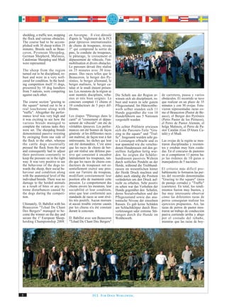 shedding, a traffic test, stopping   en Auvergne. Il s'est déroulé
the flock and various obstacles.     d'après le "règlement de la FCI
The course had to be accom-          pour épreuves internationales
plished with 30 sheep within 35      de chiens de troupeaux, niveau
minutes. Breeds such as Beau-        3" qui comprend la sortie de
ceron, Pyrenean Sheepdog,            parc, la conduite du troupeaux,
German Shepherd, Malinois,           le pâturage, le croisement et
Catalonian Sheepdog and Mudi         dépassement de véhicule, l'im-
were represented.                    mobilisation et divers obstacles.
                                     Le parcours devait être réalisé
The sheep from the region            en 35 minutes avec 30 trou-
turned out to be disciplined, ro-    peaux. Des races telles que le
bust and were in a very well-        Beauceron, le berger des Py-
cared for condition. In the herd-    rénées, le berger allemand, le
ing competition itself 11 dogs,      berger malinois, le berger ca-
presented by 10 dog handlers         talan et le mudi étaient présen-
from 5 nations, were competing       tes. Les moutons de la région se
against each other.                  sont montrés disciplinés, robu-      Die Schafe aus der Region er-        de carretera, pausa y varios
                                     stes et très bien soignés. Le        wiesen sich als diszipliniert, ro-   obstáculos. El recorrido se tuvo
The course section "grazing to       concours comptait 11 chiens et       bust und waren in sehr gutem         que realizar en un plazo de 35
the square" turned out to be a       10 conducteurs de 5 pays dif-        Pflegezustand. Im Hütewettbe-        minutos y con 30 ovejas. Estu-
real touchstone along with           férents.                             werb selber standen sich 11          vieron representadas razas co-
"traffic". Altogether the perfor-                                         Hunde gegenüber die von 10           mo el Beauceron (Pastor de Be-
mance level was very high and        Les étapes "Pâturage dans le         Hundeführern aus 5 Nationen          auce), el Berger des Pyrénées
it was exciting to see how the       carré" et "croisement et dépas-      vorgestellt wurden                   (Perro Pastor de los Pirineos),
various breeds managed to            sement de véhicule" ont été de                                            el Perro de Pastor Alemán, el
complete the various tasks they      véritables épreuves. Les perfor-     Als echter Prüfstein erwiesen        belga Malinois, el Perro de Pa-
were set. The sheepdog breeds        mances ont été bonnes de façon       sich die Parcours-Teile "Gra-        stor Catalán (Gos D'Atura Ca-
demonstrated passive resisting       générale et les différentes races    zing to the square" und "Traf-       talà) y el Mudi.
by swinging from one side of         ont maîtrisé, de façon tout à fait   fic". Insgesamt wurden sehr gu-
the flock to the other, whereas      intéressante, les tâches qui leur    te Leistungen erbracht und es        Las ovejas de la región se mos-
the cattle dogs essentially          ont été demandées. C'est ainsi       war spannend wie die verschie-       traron disciplinadas y resisten-
pressed the flock from the rear      que les races de chiens de ber-      denen Hunderassen mit den ge-        tes y estaban muy bien cuida-
and consequently had to adjust       ger ont réalisé une défense pas-     stellten Aufgaben fertig wur-        das. En el concurso de pastoreo
their positions constantly to        sive qui consistait à encadrer       den. So zeigten die Schäfer-         en sí compitieron 11 perros ba-
keep the pressure on in the right    latéralement les troupeaux, tan-     hundrassen passives Wehren           jo las órdenes de 10 guías o
way. It was very positive to see     dis que les races de chiens con-     durch seitliches Pendeln an der      manejadores de 5 naciones.
the behaviour of the dogs to-        ducteurs de troupeaux ont es-        Herde, während die Treibhund-
wards the sheep, their social be-    sentiellement exercé une pres-       rassen im wesentlichen hinter        El criterio más difícil pro-
haviour and condition along          sion sur l'arrière du troupeau,      der Herde Druck machten und          bablemente lo formaron las par-
with the anatomical level of the     modifiant constamment leur           dabei auch ständig die Position      tes del recorrido denominadas
individual breeds. There was no      position afin de maintenir cette     veränderten um den Druck auf-        "Grazing to the square" (área
damage to the herded animals         pression. Le comportement des        recht zu erhalten. Sehr positiv      de pastaje cerrada) y "Traffic"
as a result of bites or any ex-      chiens envers les moutons, leur      zu sehen war das Verhalten der       (carretera). En total, los rendi-
treme disturbances caused by         sociabilité et leur condition,       Hunde gegenüber den Schafen,         mientos fueron muy buenos, y
the dogs during the competi-         ainsi que leur conformité aux        deren Sozialverhalten und der        fue muy interesante observar
tion.                                standards de races se sont révé-     Pflegezustand sowie das ana-         cómo las diferentes razas de
                                     lés très positifs. Aucun morsure     tomische Niveau der einzelnen        perros conseguían realizar los
Ultimately, D. Babillot with his     et aucun trouble externe causés      Rassen. Es gab keine Schäden         ejercicios propuestos. Así, las
Beauceron "Tchad Du Chant            par les chiens n'a été constaté      am Schlachtkörper durch Biss-        razas de perros de pastor mos-
Des Bergers" managed to be-          durant le concours.                  verletzungen oder extreme Stö-       traron un trabajo de conducción
come the winner on the day and                                            rungen durch die Hunde im            pasiva corriendo arriba y abajo
secure the 1st European Sheep-       D. Babillot avec son Beauceron       Wettbewerb.                          por el costado del rebaño,
herding Championship 2008.           "Tchad Du Chant Des Bergers"                                              mientras que las razas de boy-




8                                                      FCI. FOR DOGS WORLDWIDE.
 