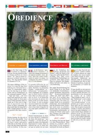 OBEDIENCE



     CONTROL AT A DISTANCE             LES POSITIONS À DISTANCE            KONTROLLE AUF DISTANZ              EL CONTROL A DISTANCIA


     In the dogat stagebe able
exercise, the
              final

                  should
                         of the
       “control a distance”                Lorschanger de positionleà
                                                  de l'exercice " posi-
                                              tions à distance ",
                                      chien doit
                                                                                In sollte „Kontrolle der
                                                                                    der Endphase
                                                                                 Übung
                                                                           Distanz“
                                                                                                      auf
                                                                                          der Hund in der
                                                                                                                   En la fase final adel ejer-
                                                                                                                    cicio ”control distan-
                                                                                                              cia“, el perro debería ser capaz
to change position six times          six reprises (couché - assis - de-   Lage sein, sechs mal die Positi-   de cambiar seis veces la posi-
(down – sit – stop in various se-     bout, dans des ordres diffé-         on (Platz – Sitz – Steh – in un-   ción (Platz/echado al suelo –
quences) without leaving its          rents) et rester à sa place. Le      terschiedlicher Reihenfolge) zu    Sitz/sentado – Steh/de pie – en
place. The dog handler stands         conducteur du chien se trouve        wechseln, ohne dabei seinen        diferente orden de secuencias),
at a distance of 15 m.                lui à 15 m de distance.              Platz zu verlassen. Der Hunde-     sin abandonar por ello su sitio.
                                                                           führer befindet sich dabei in      Durante el ejercicio, el guía de-
The major challenge of this ex-       La grande difficulté de cet          15m Entfernung.                    be encontrarse a 15 metros de
ercise is to stop the dog from        exercice consiste à empêcher le                                         distancia.
making any forward move-              chien d'avancer La succession        Die große Herausforderung bei
ments. It is particularly impor-      d'ordres " couché-debout " et "      dieser Übung ist es, den Hund      El gran desafío en este ejercicio
tant for the dog to go back-          debout-assis " est particulière-     von sämtlichen Vorwärtsbewe-       es impedir cualquier movimien-
wards with its hindquarters at        ment compliquée car il importe       gungen abzuhalten. Speziell bei    to hacia adelante del perro. Es-
the command sequence “down”           que le chien recule l'arrière        den      Kommandoabfolgen          pecialmente en las secuencias
– “stop” and “stop” – “sit”. It is    train. Pour un chien assis qui       „Platz“ auf „Steh“ und „Steh“      de cambio de la orden
much more practical for a seat-       doit se lever, il est beaucoup       auf „Sitz“ ist es wichtig, dass    ”Platz/echado/al suelo“ a la or-
ed dog to push its front paws         plus pratique de glisser les         der Hund mit der Hinterhand        den ”Steh/de pie“ y de la orden
and its hind forwards when he         pattes avant et le train arrière     rückwärts geht. Für einen sit-     ”Steh/de pie“ a la orden
stands up. If this were to hap-       vers l'avant. Si cela se produit     zenden Hund ist es wesentlich      ”Sitz/sentado/siéntate“ es im-
pen in succession over the            successivement lors de diffé-        praktischer, die Vorderpfoten      portante que el perro se mueva
course of three commands, the         rents ordres, le chien progresse     und das Hinterteil beim Aufste-    hacia atrás con los cuartos tra-
dog would then be lying half a        alors d'une demi-longueur de         hen nach vorne zu schieben.        seros. Para un perro en posición
body’s length ahead of its start-     son corps après seulement trois      Passiert dies bei verschiedenen    sentada es mucho más práctico
ing position after three exercis-     ordres.                              Kommandos nacheinander, so         mover las patas delanteras y el
es.                                                                        würde der Hund schon nach          cuarto trasero hacia adelante al
                                         « ASSIS » - « DEBOUT »            drei Übungen eine halbe Kör-       ponerse en pie. Si esto ocurre
         “SIT” – “STOP”                                                    perlänge vorne liegen.             en tres órdenes diferentes suce-
                                      Durant l'entraînement, le chien
During training, the dog sits in      est assis devant le conducteur                                          sivas, el can acabará adelantán-
                                                                                  „SITZ“ – „STEH“             dose un tramo de medio cuerpo
front of the dog handler. You         du chien. On prend une " une
take a “treat”, hold it in front of   friandise ", la tient devant la      Im Training sitzt hier der Hund    al cabo de ya sólo tres ejerci-
the dog’s snout, and gently           gueule du chien et lui chatouille    vor dem Hundeführer. Man           cios.
tickle him on the belly. In most      légèrement le ventre. Dans la        nimmt ein „Leckerli“, hält es
cases, the dog jumps backwards        majorité des cas, le chien fait      dem Hund vor die Schnauze
with its bottom. At this mo-          un saut en arrière de son train      und kitzelt ihn leicht am Bauch.


14                                                       FCI. FOR DOGS WORLDWIDE.
 