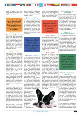 ment, the audible “stop” com-        arrière. C'est à ce moment que       In den meisten Fällen springt        ”SITZ/SENTADO/SIÉNTATE“ –
mand comes and the hand hold-        le signal acoustique " debout "      der Hund mit dem Hinterteil                 ”STEH/DE PIE“
ing the treat opens.                 est émis et que la main tenant la    rückwärts. In diesem Moment        En el entrenamiento el perro
                                     friandise s'ouvre.                   kommt das Hörzeichen „Steh“        está sentado frente al guía. Se
                                                                          und die Futterhand geht auf.       toma una ”golosina“, se le
                                       « DEBOUT » - « COUCHÉ »                                               muestra al perro acercándola al
  It is hard for both the dog        Pour cet exercice, il est possible                                      hocico y se le hacen unas sua-
 and the handler to change           de procéder comme pour l'arrêt         Umlernen ist mühsam für          ves cosquillas en la barriga. En
    habits once they are in-         en mouvement. Tenir la nourri-                                          la mayoría de los casos el perro
 grained. For this reason, it        ture devant la gueule du chien         Hundeführer und Hund.            retrocederá hacia atrás con los
 would be a sensible move to         en abaissant légèrement la main        Deshalb wäre es sinnvoll,        cuartos traseros. Éste es el mo-
   teach the dog the correct         de sorte que la tête du chien           schon im Welpenalter            mento en que se le da la orden
 movement sequences when             s'oriente vers le bas, et qu'il             die richtigen               de voz ”Steh/de pie“ y se abre
        he is still a pup.           prenne place simultanément               Bewegungsabläufe               la mano con la golosina.
                                     avec ses quatre pattes et ne s'as-
                                     soit pas en premier pour se cou-            einzulernen.                        ”STEH/DE PIE“ –
       “STOP” – “DOWN”
                                     cher ensuite.                                                             ”PLATZ/ECHADO/TUMBATE“
This exercise can be carried out
exactly the same as dropping                                                     „STEH“ – „PLATZ“             En este ejercicio se puede pro-
down from movement. Hold                                                  Bei dieser Übung kann man ge-      ceder de la misma manera que
the treat to the dog’s snout and       Réapprendre est difficile,         nauso vorgehen wie beim Able-      al echar al perro al suelo desde
gently guide the hand slightly                                                                               el movimiento. Mostrar la golo-
                                        tant pour le conducteur           gen aus der Bewegung. Futter
downwards so that the dog’s                                               zur Schnauze und die Hand          sina o el alimento frente al ho-
                                           que pour le chien.                                                cico y bajar un poco la mano,
head goes down yet at the same                                            leicht nach unten führen, sodass
time the dog can take the                 C’est pourquoi il est           der Kopf des Hundes nach un-       de forma que el animal baje la
“down” position on all four            judicieux d’apprendre au           ten geht, er aber gleichzeitig     cabeza hacia abajo y que, a la
legs and doesn’t first of all sit      chien le bon déroulement                                              vez, tome la postura de estar
                                                                          mit allen vier Beinen das Platz
down then lie down.                                                       einnimmt und nicht erst sitzt      echado al suelo bajando con las
                                            des mouvements                                                   cuatro partas a la vez, sin pasar
                                        dès son plus jeune âge.           und dann liegt.
      “DOWN” – “STOP”                                                                                        primero por la posición de sen-
                                                                                 „PLATZ“ – „STEH“            tado.
The best thing to do in this case
is to practice a sort of rocking                                          Hier ist es am besten mit dem
effect. You hold a treat or a ball      « COUCHÉ » - « DEBOUT »           Hund eine Art von Wippenef-            Aprender a corregir un
in front of the dog’s snout and      Là, le mieux est d'exercer un        fekt zu üben. Man hält dem
give the command “stop”. Be-         effet de bascule avec le chien.      Hund Futter oder einen Ball vor          error es dificultoso,
fore the dog is completely up-       On lui tient de la nourriture ou     die Nase und gibt das Hörzei-         tanto para el perro como
right, give the command              une balle devant le nez et on        chen „Steh“. Bevor der Hund          para el guía. Por eso sería
“down” so that he doesn’t have       émet le signal acoustique " de-      komplett oben ist, kommt das          recomendable enseñarle
the opportunity to change the        bout ". Avant que le chien ne        Kommando „Platz“, damit er              al perro la secuencia
position of his four paws. Then      soit complètement debout,            erst gar keine Möglichkeit hat
repeat “stop”, then “down”, etc.     l'ordre " couché " arrive, ce qui    den Standort seiner vier Pfoten       correcta de movimientos
This exercise is very tiring for     lui ôte toute possibilité de mo-     zu verändern. Dann wieder                ya desde cachorro.
the dog: hence, do not put the       difier la position de ses quatre     „Steh“, dann „Platz“, etc. Diese
dog through it too often.            pattes. Puis de nouveau " de-        Übung ist sehr anstrengend für
                                     bout ", puis " couché ", etc. Cet    den Hund – daher sollte sie
Don’t worry if it doesn’t work       exercice est très fatigant pour le   nicht zu oft ausgeführt werden.     ”PLATZ/ECHADO/TUMBATE“ –
                                                                                                                    ”STEH/DE PIE“
straight away: 95% of dogs           chien, aussi ne doit-il pas être
move themselves forwards             effectué trop souvent.               Falls es nicht auf Anhieb          Aquí lo mejor es practicar con
when both standing up and sit-       Aucun souci si cela ne fonc-         klappt, keine Sorge. 95% der       el perro una especie de efecto
ting down, due to incorrect          tionne pas immédiatement.            Hunde richten sich sowohl          basculante, de balancín. Se
training in most cases. Retrain-     95% des chiens s'orientent vers      beim Hinstellen als auch beim      muestra al perro frente al hoci-
ing can be exciting: however, it     l'avant lorsqu'ils se lèvent et      Hinsetzen nach vorne aus, da es    co una pelota o una golosina o
requires a lot of time and pa-       s'assoient en raison d'un ap-        meist falsch eingelernt wurde.     alimento y se le da la orden de
tience.                              prentissage incorrect. Changer       Das Umlernen kann sehr wohl        voz ”Steh/de pie“. Antes de que
                                     d'apprentissage peut-être certes     spannend sein, dennoch bean-       el perro esté del todo arriba, se
Very often, dogs that have al-       passionnant, mais exige beau-        sprucht es vor allem viel Zeit     le da la orden de voz ”Platz/
ready incorrectly learnt this ex-    coup de temps et de patience.        und Geduld.                        echado/túmbate“ para que el
ercise are presented with a bar-                                                                             can no tenga ocasión de cam-
rier to prevent them from mov-       Souvent, un cadre                                                       biar de posición ninguna de sus
ing forwards. Unfortunately, in      qui empêche                                                             cuatro patas. A continuación de
most cases this only works for       d'avancer est placé                                                     nuevo ”Steh/de pie“, después
as long as the barrier is in front   devant les chiens qui                                                   otra vez ”Platz/echado/túmba-
of him. Most of these four-          ont mal appris l'exercice.                                              te“, etc. Este ejercicio le cuesta
legged animals tense up. As          Malheureusement,                                                        mucho esfuerzo al perro – por
soon as the barrier has been re-     dans la plupart des cas,                                                eso no se debería realizar con
moved, he aligns himself as he       cela fonctionne                                                         excesiva frecuencia.
wishes.                              uniquement tant
                                     que le cadre                                                            Si no funciona a la primera, no
Personally, I like to work with      est placé                                                               hay que preocuparse. El 95%
a ball positioned in front of the    devant lui.                                                             de los perros se mueven hacia
dog. Most of them do not wish        La majorité de ces                                                      adelante tanto al ponerse de pie


                                                       FCI. FOR DOGS WORLDWIDE.                                                              15
 