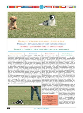 OBEDIENCE - WORKING WITH THE DOG ON THE BASIS OF TRUST
                OBÉISSANCE - TRAVAILLER AVEC SON CHIEN EN TOUTE CONFIANCE
                   OBEDIENCE - ARBEIT MIT DEM HUND AUF VERTRAUENSBASIS
             OBEDIENCIA - TRABAJAR CON EL PERRO SOBRE LA BASE DE LA CONFIANZA

     SITTING AND LYING DOWN                 ASSIS ET COUCHÉ                    SITZEN UND LIEGEN                SENTADO (SITZ) Y AL
                                                                                                               SUELO/ECHADO (PLATZ)
 Exercises 1 and 2 of the            Les exercices 1 et 2 du règle-      Die Übungen 1 und 2 der
 Obedience Trial Regulations         ment d'obéissance portent sur la    Obedience-Prüfungsordnung         Los ejercicios 1 y 2 del regla-
 are sitting (2 minutes) and lying   position assise (2 minutes) et      sind Sitzen (2 Minuten) und       mento general de participación
 down (4 minutes) in the group       couchée (4 minutes) dans un         Liegen (4 Minuten) in der         en tests de obediencia se com-
 with the dog handler out of         groupe, le conducteur étant         Gruppe mit dem Hundeführer        ponen de estar sentado ("Sitz"
 view. At least three and a maxi-    hors de vue du chien. Un mini-      außer Sicht. Mindestens drei      durante 2 minutos) y estar al
 mum of six dogs per group sit       mum de trois et un maximum          bis maximal sechs Hunde pro       suelo/echado ("Platz" durante 4
 or lie down quietly at a distance   de six chiens par groupe sont       Gruppe sitzen oder liegen ruhig   minutos) en el grupo y con au-
 of approximately three metres       assis ou couchés tranquillement     in einem Abstand von ca. drei     sencia del guía o conductor.
 from one another. There are         à une distance d'environ trois      Meter voneinander. Geahndet       Debe haber, como mínimo, tres
 penalties for any change of         mètres les uns des autres. Toute    wird jede Veränderung oder        y, como máximo, seis perros
 position or leaving the position    modification et abandon de la       das Verlassen der Position bzw.   por cada grupo, que deben estar
 and for any movement on the         position ainsi que tout mouve-      auch jede Bewegung am             sentados o, respectivamente,
 ground. Head movements are          ment au sol est pénalisé. Les       Boden. Erlaubt sind Bewegun-      echados tranquilamente a una
 allowed.                            mouvements de la tête sont          gen des Kopfes.                   distancia de aproximadamente
 In training, the dog is given the   autorisés. Durant l'entraîne-       Im Training erteilt man dem       tres metros los unos de los
 audible command (sit or lie         ment, les instructions vocales      Hund das Hörzeichen (Sitz         otros. Se penaliza cualquier
 down). You go away and after        (assis ou couché) sont apprises     oder Platz). Man entfernt sich    cambio o abandono de la posi-
 a few seconds go back to the        au chien. Le conducteur s'éloig-    und geht nach einigen Sekun-      ción, así como cualquier movi-
 dog, give it a piece of food -      ne et revient vers le chien après   den wieder zu ihm, gibt ihm -     miento en el suelo. Están per-
 without talking too much, again     quelques secondes, puis il lui      ohne viel zu reden - ein Stück    mitidos los movimientos de la
 give the audible command (sit       donne un peu de nourriture -        Futter, erteilt nochmals das      cabeza.
                                                                         Hörzeichen (Sitz oder Platz)      En el entrenamiento se le da la
                                                                         und tritt wieder weg. Verändert   orden de voz al can ("Sitz/sen-
                                                                         der Hund seine Position, oder     tado/siéntate" o bien "Platz/
                                                                         verlässt er sie, muss die Übung   echado/túmbate"). A continua-
                                                                         neu begonnen werden. Lang-        ción, el guía o conductor/mane-
                                                                         sam arbeitet man sich vom         jador se debe alejar y volver
                                                                         Hund weg und verlängert den       junto al perro al cabo de unos
                                                                         Zeitraum der Wiederkehr.          pocos segundos, ofrecerle un
                                                                                                           pequeño bocado de refuerzo
                                                                                  WICHTIG:                 positivo - sin mucha expresión
                                                                                                           verbal - y volver a impartir la
                                                                             In allen Übungen muss         orden de voz ("Sitz/sentado/
                                                                           der Hund dem Hundeführer        siéntate" o bien "Platz/echado/
                                                                                    vertrauen.             túmbate") para, a continuación,
                                                                           Dabei hat Vertrauen nichts      volver a alejarse. Si el perro
                                                                             mit Angst und Fürchten        cambia de posición o la aban-
                                                                                      zu tun.


18                                                     FCI. FOR DOGS WORLDWIDE.
 