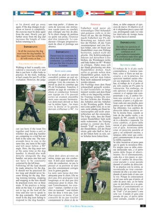 or lie down) and go away             sans trop parler ; il donne en-                  FREIFOLGE                 dona, se debe empezar el ejer-
again. If the dog changes its po-    suite de nouveau une instruc-
                                                                           Fußarbeit wird meist als
                                                                                                                cicio de nuevo. El objetivo es el
sition or leaves it completely,      tion vocale (assis ou couché),                                             de ir alejándose poco a poco del
the exercise must be done again      puis s'éloigne une fois de plus.      notwendiges Übel behandelt           can, prolongando cada vez más
from the start. Slowly you get       Si le chien change de position        und genauso sieht es in der          los intervalos de tiempo hasta
                                                                           Praxis oft aus. Bei der Prüfung
further away from the dog and        ou quitte son poste, l'exercice
                                                                           macht Fußarbeit nur 8% der
                                                                                                                la vuelta hacia el animal.
increase the length of time          doit être renouvelé. Le con-
                                                                           Bewertung aus. Jedoch sieht
before returning to it.              ducteur s'éloigne progressive-                                                     IMPORTANTE:
                                     ment du chien et prolonge son         hier der Richter, ob das Team
                                     absence.                              zusammenpasst und eine Ein-
         IMPORTANT:                                                        heit bildet, oder ob Hund und           En todos los ejercicios el
                                                                           Hundeführer zwar eine Prüfung          perro deberá mostrar plena
  In all the exercises the dog               IMPORTANT :                                                                confianza en el
 must trust the dog handler. In                                            bestreiten, jedoch nicht die
                                                                           gleiche. Die Kehrtwendungen            guía/conductor/manejador.
this regard trust has nothing to      Durant tous les exercices, le                                              Y la confianza nada tiene que
     do with worry or fear.           chien doit faire confiance au        müssen auf derselben Linie
                                                                           bleiben, die Wendungen rechts         ver con el miedo o el temor.
                                      conducteur. La confiance ne
                                      doit pas être liée à la peur ou      und links haben im 90 °-Winkel
    FOLLOWING OFF THE LEAD                                                 zu erfolgen.. Dabei muss sich                SECUENCIA LIBRE
                                                la crainte
Walking at heel is usually con-                                            der Hund gleichzeitig mit dem
sidered a necessary evil and                                                                                    El trabajo de ir al pie suele
                                             SUITE SANS LAISSE             Hundeführer drehen. Auch             contemplarse, y tratarse tam-
that is just how it often looks in                                         sollte er gerade neben dem
practice. In the trials, walking     Le travail au pied est souvent                                             bién, como si fuera un mal ne-
                                                                           Hundeführer gehen, nicht be-         cesario, y en la práctica, los
at heel counts for just 8% of the    considéré comme un mal né-            drängen und mit dem linken
evaluation. However, the judge       cessaire et il apparaît tel dans la                                        ejercicios también suelen ofre-
                                                                           Knie nicht andauernd korrigiert      cer esa impresión. En las prue-
                                     pratique. Lors du concours, le        werden müssen.
                                     travail au pied ne constitue que                                           bas, el trabajo de ir el perro al
                                                                           Die Freifolge muss dem Hund          pie sólo cuenta un 8% para la
                                     8% de l'évaluation. Toutefois, il     schmackhaft gemacht werden.
                                     permet au juge de constater si                                             valoración. Sin embargo, en
                                                                           Es darf keinesfalls zu lange         este ejercicio el juez puede re-
                                     chien et conducteur forment           trainiert werden und dem Hund
                                     une équipe ou s'ils passent                                                conocer si el equipo está com-
                                                                           sollte es nie langweilig werden.     penetrado o no, si ambos for-
                                     certes un examen ensemble             Im Training werden alle zwei
                                     mais sans aucune harmonie.                                                 man una unidad o si, por el
                                                                           bis drei Schritte das Wenden,        contrario, el perro y el guía rea-
                                     Les demi-tours doivent se faire       das Anhalten und das Anhalten
                                     sur la même ligne ; les tours                                              lizan cada uno una prueba, pero
                                                                           in der Wendung geübt. Wenn           parece que se trate de dos prue-
                                     vers la droite et la gauche           mit Leine geübt wird, ist es rat-
                                     doivent s'effectuer à 90°. Le                                              bas diferentes. Los cambios de
                                                                           sam, nicht ständig am Hund he-       dirección deben sucederse so-
                                                                           rumzuzupfen und nicht unun-          bre la misma línea, cuando se
                                                                           terbrochen auf ihn einzureden.       trate de dar media vuelta, y en
                                                                           Die Folge wäre, dass der Hund        ángulo de 90º, cuando se trate
                                                                           seinen Hundeführer bald nicht        de ir a derecha e izquierda. En
                                                                           mehr wahrnimmt. Im Training          estos cambios, el perro debe
                                                                           genügt es, einmal das Kom-           iniciar el giro simultáneamente
                                                                           mando "Fuß" zu geben. Steht          con el guía. Asimismo debe
can see here if the team fits                                              der Hundeführer, soll der Hund
together and forms a unit or                                                                                    estar en posición paralela al
                                                                           sitzen, geht oder läuft er, hat er   guía y no echársele encima, y
whether dog and dog handler                                                an der linken Seite zu sein, sei-    tampoco debe tener que corre-
are competing in a trial but not                                           ne Schulter beim linken Knie.
both in the same one. The turn-                                                                                 girse constantemente al can con
arounds have to stay in the                                                                                     la rodilla izquierda.
same line, any turns to the right                                                                               Se debe incentivar al perro para
and left must follow a 90°                                                                                      que le guste la secuencia libre.
angle. Here, the dog must turn                                                                                  En ningún caso se debe entre-
at the same time as the dog                                                                                     nar demasiado rato, y el perro
handler. It should also walk                                                                                    jamás debe llegar al aburri-
directly alongside the dog           chien doit alors pivoter en                                                miento. En el entrenamiento,
handler, not press into him and      même temps que son conduc-                                                 cada dos o tres pasos se ejer-
not have to be constantly            teur. Il doit aussi marcher aux                                            citan el cambio de dirección,
corrected by the left knee.          côtés du conducteur, ne pas le                                             estar parado y estar parado
Following off the lead should        presser et sa position ne doit                                             durante el cambio de dirección.
be made attractive for the dog.      pas être constamment corrigée                                              Si se practica con la correa, se
It should not be practised for       avec le genou gauche.                                                      recomienda no tirar constan-
too long and should never be-        La suite sans laisse doit être                                             temente de ella y no estar incor-
come boring for the dog. Dur-        attrayante pour le chien. Elle ne                                          diando al perro todo el rato con
ing training turning, stopping       doit pas être pratiquée trop                                               la voz. Porque la consecuencia
and stopping in the turn should      longtemps et ne doit pas être                                              en tal caso sería que el perro, al
be practised every two or three      ennuyeuse pour le chien. Du-                                               cabo de poco rato, ya no haría
steps. If the practice is being      rant l'entraînement, les exer-                                             caso ni percibiría ya a su guía.
done on the lead, it is advisable    cices " tourner, s'arrêter et s'ar-                                        Durante el entrenamiento es
not to tug on the lead all the       rêter en tournant " sont réalisés                                          suficiente dar la orden de voz
time and also not to speak to        tous les deux à trois pas. Lors                                            de "Fuß" ("al pie/junto") una
the dog constantly. This would       d'un exercice en laisse, il est                                            sola vez. Cuando el guía está
result in the dog soon failing to    conseillé de ne pas tirailler                                              parado de pie, el perro debe
respond to the dog handler.          constamment le chien et de ne                                              estar sentado, cuando el guía


                                                        FCI. FOR DOGS WORLDWIDE.                                                                 19
 