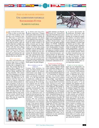 FEED AS HIS NATURE INTENDED
                  UNE ALIMENTATION NATURELLE
                     NATURGEMÄßES FUTTER
                      ALIMENTO NATURAL


Dogs evolved in everyofdog Les portecarnivores. Chaque trägtunde stammenTatsächlich Los perrosdentro de sícada
   vores, in fact
                  from carni-

you will find evidence
                                    chiens sont issus d'es-
                                 pèces
                          its chien     effectivement en lui
                                                             Hfressern ab.Beweise seiner perro lleva descienden las
                                                               jeder Hund
                                                                            von Fleisch-
                                                                                           carnívoros. De hecho,
                                                                                                                 de

ancestry as an instinctive hun-     les preuves de ses origines de       Abstammung als instinktiver        pruebas de su origen de cazador
ter. They have a carnivore's        chasseur instinctif. Les chiens      Jäger in sich. Hunde haben das     por instinto. Los perros tienen
mouth, and larger dogs even         ont la mâchoire d'un carnivore ;     Maul eines Fleischfressers, und    las fauces de un carnívoro, y
share the same number and ty-       les grands chiens ont même des       größere Hunde haben sogar          los de mayor tamaño incluso la
pe of teeth as wolves. And, our     dents en même nombre et de           gleich viele und gleich geartete   misma cantidad y el mismo tipo
modern dogs have a highly sen-      même structure que les loups.        Zähne wie Wölfe. Außerdem          de dientes que los lobos. Ade-
sitive sense of smell, with 220     De plus, comparés aux êtres hu-      haben unsere modernen Hunde        más, nuestros perros modernos
million cells that sense odours     mains, nos chiens des temps          einen hochsensiblen Geruchs-       tienen el sentido del olfato alta-
at concentrations nearly 100        modernes ont un odorat hyper-        sinn mit 220 Millionen Zellen,     mente desarrollado y sensitivo,
million times lower than hu-        sensible composé de 220 mil-         mit denen sie Gerüche in beina-    con 220 millones de células con
mans can. They have keen            lions de cellules qui leur per-      he 100 Millionen Mal schwäch-      las que pueden percibir olores
eyesight and hearing that can       mettent de détecter des odeurs       eren Konzentrationen auf-          en unas concentraciones casi
hear sounds up to four times the    dans des concentrations pres-        spüren können als Menschen.        100 millones de veces más ba-
distance that we are able to.       que 100 millions de fois infé-       Sie haben sehr gute Augen und      jas que los humanos. Tienen
                                    rieures. Ils ont de très bons        ein ausgezeichnetes Gehör, das     una vista muy buena y un oído
        MEAT NOT CEREAL             yeux et une ouïe excellente qui,     bis zu viermal weiter entfernte    excelente que percibe los ruidos
Like their wolf ancestors our       comparée à la nôtre, perçoit des     Geräusche wahrnimmt als wir.       a una distancia hasta cuatro ve-
modern dogs have a simple           bruits quatre fois plus éloignés.                                       ces mayor que nosotros.
stomach and a relatively short                                               FLEISCH STATT GETREIDE
intestine that is designed to eat      DE LA VIANDE AU LIEU DE           Wie ihre Vorfahren, die Wölfe,        CARNE EN VEZ DE CEREALES
meat. The average dog has an                   CÉRÉALES                  haben unsere modernen Hunde        Igual que sus antepasados, los
intestine that is approx. 5.7 m     Comme leurs ancêtres les             einen einfachen Magen und ei-      lobos, nuestros perros moder-
long, compared to a grass eater,    loups, nos chiens actuels ont un     nen relativ kurzen Darm, der       nos tienen un estómago sencillo
such as a sheep, which has a 40     estomac simple et un intestin        zum Fleisch essen gedacht ist.     y un intestino relativamente
m long intestine. This means        relativement court adapté à la       Ein durchschnittlicher Hund hat    corto, concebido para comer
dogs were designed to eat meat      consommation de viande. Un           - im Unterschied zu Pflanzen-      carne. A diferencia de los her-
and not large quantities of veg-    chien a en moyenne un intestin       fressern, wie z.B. dem Schaf,      bívoros, como por ejemplo la
etables! All dogs have an in-       d'env. 5,7 m de long alors que       das über einen 40 m langen         oveja, que tiene un intestino
stinctive taste for meat. It is     les herbivores, comme par ex-        Darm verfügt - einen Darm von      que mide 40 m de longitud, por
needed to support a beautiful       emple le mouton, disposent           ca. 5,7 m Länge. Das bedeutet,     término medio el perro tiene un
coat as hair consists almost en-    d'un intestin de 40 m de long.       dass Hunde dafür bestimmt          intestino de aprox. 5,7 m de
tirely of protein. In fact up to    Cela signifie que les chiens         sind, Fleisch zu essen, und        longitud. Esto significa que los
30% of their dietary protein can    sont destinés à manger de la         nicht große Mengen an pflanz-      perros están destinados a comer
be needed for hair growth. Such     viande et non de grandes             licher Nahrung! Alle Hunde es-     carne, ¡y no grandes cantidades
beautiful coats will be seen at     quantités d'alimentation végé-       sen instinktiv gerne Fleisch. Es   de alimento vegetal! Por instin-
the Eukanuba World Challenge        tale ! Par instinct, tous les        ist wichtig für ein schönes        to, a todos los perros les gusta
2008. All these facts are why       chiens mangent de la viande.         Haarkleid, da das Fell beinahe     comer carne. Es importante pa-
Eukanuba believes that meat,        Cela est important pour la           ausschließlich aus Eiweiß be-      ra tener el manto bello, ya que
and not cereals, should be the      beauté de leur poil qui est com-     steht. Tatsächlich können bis zu   el pelo consiste casi exclusiva-
main protein source in dogs'        posé presque exclusivement de        30% des durch die Nahrung          mente de proteína. En efecto,
diets. This way we respect the      protéines. Effectivement,            aufgenommenen Eiweißes für         hasta casi el 30% de las pro-
dogs' natural origins.              jusqu'à 30% des protéines            das Fellwachstum benötigt wer-     teínas absorbidas a través de la
                                    absorbées avec la nourriture         den. Solch schöne Haarkleider      alimentación son necesarias pa-
                                    sont nécessaires à la croissance     sehen Sie beispielsweise bei der   ra el crecimiento del pelo. Estos
                                    du poil. Vous pouvez admirer         Eukanuba World Challenge           bellos mantos se pueden ver,
                                    de belles fourrures par exemple      2008. All diese Tatsachen sind     por ejemplo, en la Eukanuba
                                    lors de l'Eukanuba World             der Grund dafür, dass Eukanu-      World Challenge 2008. Todos
                                    Challenge 2008. Tout cela fait       ba der Meinung ist, dass           estos hechos son el motivo por
                                    qu'Eukanuba est d'avis que la        Fleisch, und nicht Getreide, die   el cual Eukanuba es de la opi-
                                    viande, et non les céréales,         Haupteiweißquelle in der Hun-      nión que la fuente principal de
                                    devraient être la source princi-     denahrung sein sollte. So re-      proteínas en el alimento para
                                    pale de protéines dans l'alimen-     spektieren wir den natürlichen     perros debe ser la carne, no los
                                    tation du chien. Nous respec-        Ursprung der Hunde.                cereales. Así respetamos el ori-
                                    tons ainsi l'origine naturelle des                                      gen natural de los perros.
                                    chiens.



                                                      FCI. FOR DOGS WORLDWIDE.                                                              19
 