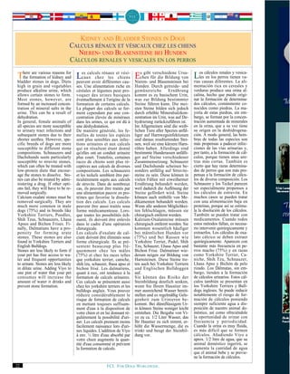 KIDNEY AND BLADDER STONES IN DOGS
                                 CALCULS RÉNAUX ET VÉSICAUX CHEZ LES CHIENS
                                   NIEREN- UND BLASENSTEINE BEI HUNDEN
                                 CÁLCULOS RENALES Y VESICALES EN LOS PERROS

Thereformationinofdogs. Diets Les calculs rénaux etchiens Eschen und Blasensteinenvon Loscausas diferentes.y La ali-
   the
       are various reasons for

bladder stones
                   kidney and     caux chez les
                                                        vési-      gibt verschiedene Ursa-

                               peuvent avoir différentes cau- Nieren-
                                                                       für die Bildung
                                                                                       bei rias
                                                                                                 cálculos renales vesica-
                                                                                              les en los perros tienen va-

high in grain and vegetables         ses. Une alimentation riche en       Hunden. Durch getreide- und         mentación rica en cereales y
produce alkaline urine, which        céréales et légumes peut pro-        gemüsereiche         Ernährung      verduras produce una orina al-
allows certain stones to form.       voquer des urines basiques           kommt es zu basischem Urin,         calina, hecho que puede origi-
Most stones, however, are            éventuellement à l'origine de la     was zur Bildung bestimmter          nar la formación de determina-
formed by an increased concen-       formation de certains calculs.       Steine führen kann. Die mei-        dos cálculos, comúnmente co-
tration of mineral salts in the      La plupart des calculs se for-       sten Steine bilden sich jedoch      nocidos como piedras. La ma-
urine. This can be a result of       ment cependant par une con-          durch erhöhte Mineralsalzkon-       yoría de estas piedras, sin em-
dehydration.                         centration élevée de minéraux        zentration im Urin, was auf De-     bargo, se forman por la concen-
In general, female animals of        dans les urines, ce qui est dû à     hydrierung zurückzuführen ist.      tración aumentada de minerales
all species are more susceptible     une déshydratation.                  Im Allgemeinen sind die weib-       en la orina, que a su vez tiene
to urinary tract infections and      De manière générale, les fe-         lichen Tiere aller Spezies anfäl-   su origen en la deshidrogena-
subsequent stones due to their       melles de toutes les espèces         liger auf Harnwegsinfektionen       ción. A modo general, las hem-
shorter urethra. However, spe-       sont plus sensibles aux infec-       und daraus resultierenden Stei-     bras de todas las especies son
cific breeds of dogs are more        tions urinaires et aux calculs       nen, weil sie eine kürzere Harn-    más propensas a padecer infec-
susceptible to different stone       qui en résultent étant donné         röhre haben. Allerdings sind        ciones de las vías urinarias y,
compositions. Schnauzers and         qu'elles ont un conduit urinaire     bestimmte Hunderassen anfälli-      por tanto, a la formación de cál-
Dachshunds seem particularly         plus court. Toutefois, certaines     ger auf Steine verschiedener        culos, porque tienen unas ure-
susceptible to struvite stones,      races de chiens sont plus ré-        Zusammensetzung. Schnauzer          tras más cortas. También es
which can often be treated with      ceptives aux calculs de diverses     und Dachshunde scheinen be-         cierto que hay razas determina-
low-protein diets that encour-       compositions. Les schnauzers         sonders anfällig auf Struvite-      das de perros que son más pro-
age the stones to dissolve. Sto-     et les teckels semblent être par-    steine zu sein. Diese können in     pensas a la formación de cálcu-
nes can also be treated by admi-     ticulièrement sujets aux calculs     vielen Fällen mit eiweißarmer       los de diversa composición. Los
nistering a drug. If other opti-     de struvite. Dans de nombreux        Ernährung behandelt werden,         Schnauzer y los Teckel parecen
ons fail, they will have to be re-   cas, ils peuvent être traités par    weil dadurch die Auflösung der      ser especialmente propensos a
moved surgically.                    une alimentation pauvre en pro-      Steine gefördert wird. Steine       los cálculos de estruvita. En
Calcium oxalate stones must be       téines qui favorise la dissolu-      können auch mithilfe von Me-        muchos casos se pueden tratar
removed surgically. They are         tion des calculs. Les calculs        dikamenten behandelt werden.        con una alimentación baja en
much more common in male             peuvent être aussi traités sous      Wenn alle anderen Möglichkei-       proteínas, porque así se estimu-
dogs (75%) and in breeds like        forme médicamenteuse. Lors-          ten fehlschlagen, müssen sie        la la disolución de los cálculos.
Yorkshire Terriers, Poodles,         que toutes les possibilités éch-     chirurgisch entfernt werden.        También se pueden tratar con
Shih Tzus, Schnauzers, Lhasa         ouent, ils doivent être enlevés      Kalzium-Oxalatsteine müssen         medicamentos. Cuando todos
Apsos and Bichon Frises. Fi-         dans le cadre d'une opération        chirurgisch entfernt werden. Sie    estos métodos fallan, es necesa-
nally, Dalmatians have a pro-        chirurgicale.                        kommen wesentlich häufiger          rio intervenir quirúrgicamente y
pensity for forming urate            Les calculs d'oxalate de cal-        bei männlichen Hunden vor           extraerlos. Los cálculos de oxa-
stones. These stones are also        cium doivent être éliminés sous      (75%) und bei Rassen wie            lato cálcico se deben extraer
found in Yorkshire Terriers and      forme chirurgicale. Ils se pré-      Yorkshire Terrier, Pudel, Shih      quirúrgicamente. Aparecen con
English Bulldogs.                    sentent beaucoup plus fré-           Tzu, Schauzer, Lhasa Apso und       bastante más frecuencia en pe-
Stones are less likely to form if    quemment chez les mâles              Bichon Frise. Dalmatiner wie-       rros macho (75%) y en razas
your pet has free access to wa-      (75%) et chez les races telles       derum neigen zur Bildung von        como Yorkshire Terrier, Ca-
ter and frequent opportunities       que yorkshire terrier, caniche,      Harnsteinen. Diese Steine tre-      niche, Shih Tzu, Schnauzer,
to urinate. Stones are less likely   shih tzu, schauzer, lhasa apso et    ten auch bei Yorkshire Terriern     Lhasa Apso y Bichón de pelo
in dilute urine. Adding Viyo to      bichon frisé. Les dalmatiens,        und Englischen Bulldoggen           rizado. Los Dálmatas, sin em-
one pint of water that your pet      quant à eux, ont tendance à la       auf.                                bargo, tienden a la formación
consumes will increase the           formation de calculs urinaires.      Sie können das Risiko der           de cálculos urinarios. Estos cál-
amount of water it drinks and        Ces calculs se présentent aussi      Steinbildung deutlich senken,       culos también se presentan en
prevent stone formation.             chez les yorkshire terriers et les   wenn Sie Ihrem Haustier im-         los Yorkshire Terriers y Bull-
                                     bulldogs anglais. Vous pouvez        mer ausreichend Wasser bereit-      dogs ingleses. Se puede reducir
                                     réduire considérablement le          stellen und es regelmäßig Gele-     notablemente el riesgo de for-
                                     risque de formation de calculs       genheit zum Urinieren be-           mación de cálculos poniendo
                                     en mettant toujours suffisam-        kommt. Bei dünnflüssigem Ur-        siempre suficiente agua a dis-
                                     ment d'eau à la disposition de       in können Steine weniger leicht     posición de nuestro animal do-
                                     votre chien et en lui donnant ré-    entstehen. Die Beigabe von Vi-      méstico, así como ofreciéndole
                                     gulièrement la possibilité d'uri-    yo zu ca. 1/2 Liter Wasser, das     la oportunidad de orinar con
                                     ner. Les calculs prennent moins      Ihr Haustier zu sich nimmt, er-     frecuencia y periodicidad.
                                     facilement naissance lors d'uri-     höht die Wassermenge, die es        Cuando la orina es muy fluida,
                                     nes liquides. L'addition de Viyo     trinkt und beugt der Steinbil-      es más difícil que se formen
                                     à env. ½ litre d'eau absorbé par     dung vor.                           cálculos. Añadiendo Viyo a
                                     votre chien augmente la quan-                                            aprox. 1/2 litro de agua, que su
                                     tité d'eau consommé et prévient                                          animal doméstico ingerirá, se
                                     la formation de calculs.                                                 aumenta la cantidad de agua
                                                                                                              que el animal bebe y se previe-
                                                                                                              ne la formación de cálculos.
22                                                      FCI. FOR DOGS WORLDWIDE.
 
