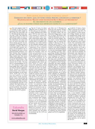 PUPPY GROWTH, WHAT IS OUR KEY NUTRITIONAL ADVICE?
        CROISSANCE DES CHIOTS : QUEL EST NOTRE CONSEIL PRINCIPAL CONCERNANT LA NORRITURE ?
           WELPENWACHSTUM: WAS IST UNSER WICHTIGSTER RAT IN BEZUG AUF ERNÄHRUNG?
                                EL CRECIMIENTO DE LOS CACHORROS:
            ¿CUAL ES NUESTRO CONSEJO MAS IMPORTANTE RESPECTO A LA ALIMENTACION?

When mostofpuppiesthey have Afois plus 12 mois,naissance.à ihrmGeburtsgewichtMonaten 40- Ala edad de 12 meses,40 y 70
     months      age
                       reach 12

increased their birth weight by 70
                                   l’âge de          les chiots
                                   pèsent pour la plupart 40
                                            qu’à la
                                                                Isich bei von meisten Welpen ros de la mayoría de los cachor-
                                                                    Alter
                                                                          den
                                                                              12

                                                                                   um ein
                                                                                          hat

                                                                                                 ha aumentado entre
                                                                                                                      el peso

40-70 fold, the Great dane can      Le dogue allemand peut même          bis 70-faches erhöht. Bei der        veces respecto a su peso inicial.
be 100 fold and the human spe-      peser 100 fois plus alors que        Deutschen Dogge kann es sogar        En el Dogo Alemán, este factor
cies only 3 fold. This relatively   l’être humain se contente de         bis zu einem 100-fachen sein,        de multiplicación puede ascen-
rapid growth means we have to       tripler son poids. Cette crois-      während Menschen nur das 3-          der incluso a hasta 100 veces,
give accurate advice on feeding.    sance relativement rapide signi-     fache an Gewicht zulegen. Die-       mientras que en los humanos di-
The importance of a lean (lean      fie que nous devons donner des       ses relativ rasche Wachstum          cho factor sólo es del triple, es
does not mean thin) body con-       conseils précis en matière d’ali-    bedeutet, dass wir präzise Rat-      decir, de hasta tres veces el peso
dition during growth was de-        mentation. Une étude réalisée        schläge in Bezug auf die Er-         inicial. Este crecimiento relati-
monstrated in a lifelong study in   sur des labradors (pendant toute     nährung geben müssen. Wie            vamente rápido significa que
Labradors. Puppies that were        la durée de leur vie) montre         wichtig ein schlanker (schlank       nosotros debemos ofrecer con-
overweight had a greater inci-      l’importance d’une silhouette        bedeutet nicht dünn) Körperbau       sejos muy precisos en lo que a
dence of osteoarthritis due to      mince (sachant que mince ne          während der Wachstumsphase           la alimentación se refiere. Un
hip dysplasia and more serious      signifie par maigre) durant la       ist, hat eine lebenslangen Studie    estudio realizado en Labradores,
general health problems over        phase de croissance. Ainsi, les      bei Labradors gezeigt. Über-         de por vida de los animales, ha
their lifetime than littermates     chiots qui présentent un sur-        gewichtige Welpen erkrankten         demostrado cuán importante es
that had a lean body condition.     poids souffrent plus souvent         häufiger an Osteoarthritis (Arth-    que la estructura corporal sea
Many studies show that excess       d’ostéoarthrite (arthrose) en rai-   rose) aufgrund von Hüftdys-          esbelta (esbelta no significa del-
calcium can predispose to skele-    son d’une dysplasie de la            plasie und litten ihr ganzes Le-     gada) durante la fase de creci-
tal growth abnormalities. Pup-      hanche et, durant toute leur vie,    ben lang unter ernsteren allge-      miento. En este estudio, los ca-
pies have to take-up 53% of all     connaissent des problèmes de         meinen Gesundheitsproblemen          chorros con sobrepeso padecie-
calcium fed to them. This has       santé généraux plus sérieux que      im Vergleich zu ihren Wurfge-        ron osteoartritis (artrosis) con
led to a recommendation of 0.8      leurs frères et sœurs, plus          schwistern, die einen schlanken      mayor frecuencia debido a la
to 1.2% calcium in large/ giant     minces.De nombreuses études          Körperbau hatten. Viele Studien      displasia de cadera, y, en com-
breed puppy diets and to avoid      montrent qu’un excès de cal-         belegen, dass zu viel Kalzium        paración a sus hermanos de es-
any form of calcium supplemen-      cium peut accroître une prédis-      eine Veranlagung zu abnormem         tructura corporal esbelta, sufrie-
tation. Protein is sometimes        position à une croissance anor-      Skelettwachstum fördern kann.        ron problemas de salud gene-
talked about with respect to        male du squelette. Les chiots        Welpen müssen 53% des ge-            rales serios durante todas sus vi-
bone development. In one study,     doivent absorber 53% de l’en-        samten Kalziums, das in ihrem        das. Muchos estudios demues-
28.4%, 20.8% and 13.1% pro-         semble du calcium contenu dans       Futter enthalten ist, aufnehmen.     tran que el exceso de calcio pue-
tein was looked at in Great         leurs repas. Une teneur en cal-      Es wird daher bei Welpennah-         de estimular una predisposición
danes from 6 weeks onwards.         cium de 0,8 à 1,2% est par con-      rung für große bzw. Riesen-          al crecimiento anormal del es-
Results clearly showed that the     séquent recommandée pour             rassen ein Kalziumgehalt von         queleto. Los cachorros deben
differences in protein intake had   l’alimentation des grandes races     0,8-1,2% empfohlen. Außerdem         absorber el 53% de todo el cal-
no demonstrable effect on skele-    et tout absorption supplé-           sollte jede Art von zusätzlicher     cio contenido en su alimento.
tal development and that it was     mentaire de calcium devrait être     Kalziumaufnahme vermieden            Por eso se recomienda un aporte
unlikely that high dietary pro-     évitée. Les protéines inter-         werden. Im Zusammenhang mit          de calcio del 0,8-1,2% para el
tein has a causative role in        viennent parfois dans le débat       Knochenbildung ist auch              alimento para cachorros de razas
growth problems. Recommen-          relatif à la formation des os.       manchmal von Eiweiß die Rede.        grandes o gigantes. Además se
dation is an animal based pro-      L’administration de 28,4%,           In einer Studie wurde die Gabe       debería evitar cualquier tipo de
tein diet with 24-32% protein.      20,8% et 13,1% de protéines à        von 28,4%, 20,8% und 13,1%           ingestión adicional de calcio. En
                                    des dogues allemands âgés de 6       Eiweiß bei Deutschen Doggen          el contexto de la formación
                                    semaines et plus a fait l’objet      ab einem Alter von sechs Woch-       ósea, a veces también se habla
                                    d’une étude. Les résultats ont       en untersucht. Die Ergebnisse        de las proteínas. En un estudio
                                    nettement démontré que la te-        zeigten deutlich, dass der unter-    realizado se analizó el aporte de
                                    neur en protéines dans l’alimen-     schiedliche Eiweißgehalt in der      proteínas del 28,4%, del 20,8%
                                    tation n’avait pas d’effets          Nahrung keine nachweisliche          y del 13,1% en el Dogo Ale-
                                    prouvés sur la formation du          Auswirkung auf die Skelettbil-       mán, a partir de una edad de seis
                                    squelette et qu’il est improbable    dung hatte und dass es unwahr-       semanas. Los resultados mos-
                                    qu’une teneur élevée en pro-         scheinlich ist, dass ein hoher Ei-   traron claramente que la va-
                                    téines dans l’alimentation           weißgehalt in der Nahrung eine       riación del aporte de proteínas
                                    puissent être à la base de pro-      ursächliche Rolle bei Wachs-         en el alimento no tenía conse-
      Eukanuba                      blèmes de croissance. Une ali-
                                    mentation basée sur des pro-
                                                                         tumsproblemen spielt. Es wird
                                                                         auf tierischem Eiweiß basieren-
                                                                                                              cuencias comprobadas en la for-
                                                                                                              mación ósea y que es improbab-
     David Morgan                   téines animales avec une teneur      de Nahrung mit einem Eiweiß-         le que un aporte alto de proteí-
                                    en protéines de 24 à 32% est         gehalt von 24-32% empfohlen.         nas en el alimento juegue un pa-
    BScMAVetMBCert                  recommandée.                                                              pel causal en los problemas de
      VRMRCVS                                                                                                 crecimiento. Se recomienda un
                                                                                                              alimento sobre la base de pro-
   www.eukanuba.com                                                                                           teínas animales, con un aporte
                                                                                                              del 24-32%.

                                                      FCI. FOR DOGS WORLDWIDE.                                                                27
 