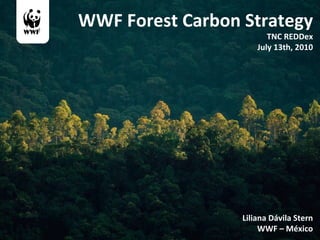 WWF Forest Carbon Strategy TNC REDDex July 13th, 2010 Liliana Dávila Stern WWF – México 