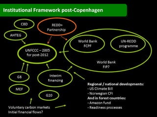 Institutional Framework post-Copenhagen REDD+  Partnership  