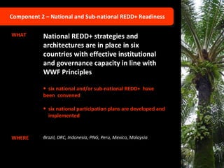 Component 2 – National and Sub-national REDD+ Readiness WHAT National REDD+ strategies and architectures are in place in six countries with effective institutional and governance capacity in line with WWF Principles six national and/or sub-national REDD+  have been  convened six national participation plans are developed and   implemented WHERE Brazil, DRC, Indonesia, PNG, Peru, Mexico, Malaysia  