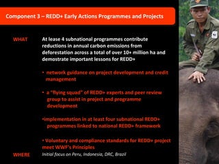 Component 3 – REDD+ Early Actions Programmes and Projects WHAT At lease 4 subnational programmes contribute reductions in annual carbon emissions from deforestation across a total of over 10+ million ha and demostrate important lessons for REDD+   n etwork guidance on project development and credit    management a “flying squad” of REDD+ experts and peer review    group to assist in project and programme    development implementation in at least four subnational REDD+   programmes linked to national REDD+ framework Voluntary and compliance standards for REDD+ project meet WWF’s Principles WHERE Initial focus on Peru, Indonesia, DRC, Brazil  
