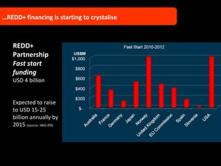 … REDD+ financing is starting to crystalise  REDD+ Partnership Fast start  funding USD 4 billion Expected to raise to USD 15-25 billion annually by 2015  (source: IWG-IFR)  