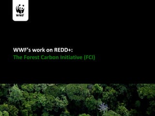 WWF’s work on REDD+:   The Forest Carbon Initiative (FCI) 