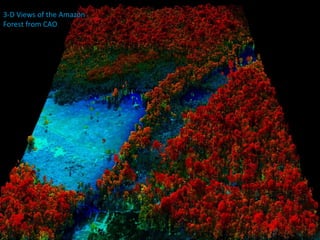 3-D Views of the Amazon Forest from CAO 