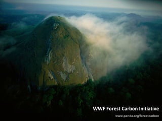 WWF Forest Carbon Initiative www.panda.org/forestcarbon 