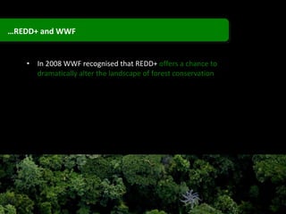In 2008 WWF recognised that REDD+  offers a chance to dramatically alter the landscape of forest conservation … REDD+ and WWF  