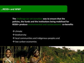 The  challenge we set ourselves  was to ensure that the policies, the funds and the institutions being mobilised for REDD+ produce  environmental and socioeconomic   co-benefits    climate    biodiversity    local communities and indigenous peoples and     low carbon economies … REDD+ and WWF  