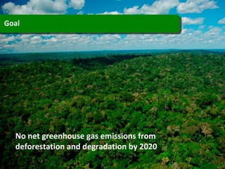 Goal  No net greenhouse gas emissions from deforestation and degradation by 2020 