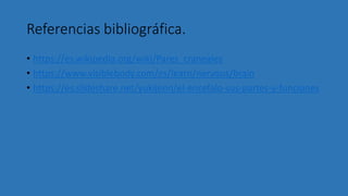 Referencias bibliográfica.
• https://es.wikipedia.org/wiki/Pares_craneales
• https://www.visiblebody.com/es/learn/nervous/brain
• https://es.slideshare.net/yukijenn/el-encefalo-sus-partes-y-funciones
 