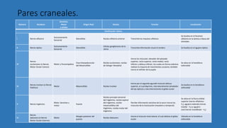 Número Nombres
Sensitivo,
Motor
o ambos
Origen Real Núcleo Función Localización
Clasificación clásica.
I Nervio olfatorio
Exclusivamente
Sensorial
Diencéfalo Núcleo olfatorio anterior Transmite los impulsos olfativos
Se localiza en el foramen
olfatorio en la lámina cribosa del
etmoides
II Nervio óptico
Exclusivamente
Sensorial
Diencéfalo
Células ganglionares de la
retina
Transmite información visual al cerebro Se localiza en el agujero óptico
III
Nervio
oculomotor (o Nervio
Motor Ocular Común)
Motor y Parasimpático
Fosa Interpeduncular
del Mesencéfalo
Núcleo oculomotor, núcleo
de Edinger-Westphal
Inerva los músculos: elevador del párpado
superior, recto superior, recto medial, recto
inferior y oblicuo inferior, los cuales en forma colectiva
realizan la mayoría de movimientos oculares; también
inerva el esfínter de la pupila
Se ubica en la hendidura
esfenoidal
IV
Nervio troclear (o Nervio
Patético)
Motor Mesencéfalo Núcleo troclear
Inerva por el segundo egundel músculo oblicuo
superior, el cual deprime, rota lateralmente (alrededor
del eje óptico) y rota internamente el globo ocular
Se localiza en la hendidura
esfenoidal
V Nervio trigémino
Mixto: Sensitivo y
motor
Puente
Núcleo principal sensorial
del trigémino, núcleo espinal
del trigémino, núcleo
mesencefálico del
trigémino, núcleo motor del
trigémino
Percibe información sensitiva de la cara e inerva los
músculos de la masticación (masetero y temporal)
Se ubica en la fisura orbital
superior (nervio oftálmico -
V1), agujero redondo (nervio
maxilar - V2) y agujero
oval (nervio mandibular - V3)
VI
Nervio
abducens (o Nervio
Motor Ocular Externo)
Motor
Margen posterior del
puente
Núcleo Abducens
Inerva el músculo recto lateral, el cual abduce el globo
ocular
Ubicado en la hendidura
esfenoidal
Pares craneales.
 