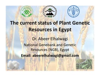 The current status of Plant GeneticThe current status of Plant Genetic 
Resources in Egypt
Dr. Abeer Elhalwagi
National Genebank and Genetic 
Resources (NGB), Egypt
Email: abeerelhalwagi@gmail.com
 
