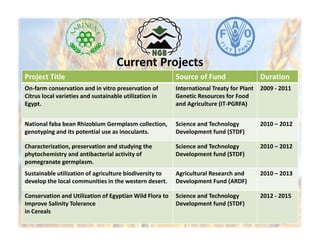 Egypt Country Report | PDF