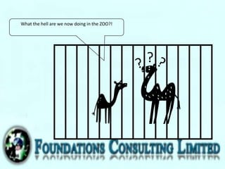 What the hell are we now doing in the ZOO?!
?