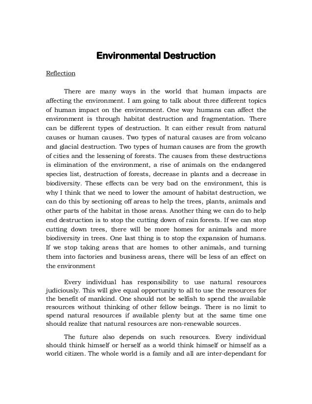 Essay on individual responsibility towards environment