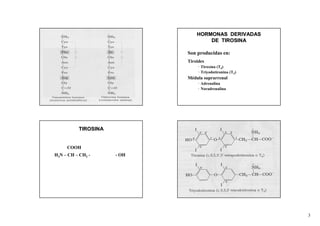 HORMONAS DERIVADAS
                                    DE TIROSINA

                            Son producidas en:
                            Tiroides
                                 • Tiroxina (T4)
                                 • Triyodotironina (T3)
                            Médula suprarrenal
                                 • Adrenalina
                                 • Noradrenalina




          TIROSINA


     COOH
H2N – CH – CH2 -     - OH




                                                          3
 