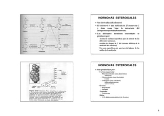 HORMONAS ESTEROIDALES
Son derivadas del colesterol
El colesterol es una molécula de 27 átomos de C
y tiene como base la estructura del
ciclopentanoperhidrofenantreno.
Las diferentes hormonas esteroidales se
producen por:
– Acción de enzimas específicas para la síntesis de las
  diferentes hormonas.
– escisión de átomos de C del extremo alifático de la
  molécula del colesterol.
– En casos específicos por apertura del alguno de los
  anillos de la molécula.




 HORMONAS ESTEROIDALES
Son producidas por:
– Corteza suparrenal
     Mineralocorticoides (zona glomerulosa)
       – Aldosterona
     Glucocorticoides (zona fasciculata)
       – Cortisol
     Andrógenos (zona reticularis)
       – Dehidroepiandrosterona
       – Androstenediona
– Ovarios
     Progesterona
     Estradiol
– Testículos
     Testosterona
– Riñón
     1, 25, dihidroxicolecalciferol (vit. D activa)




                                                          4
 