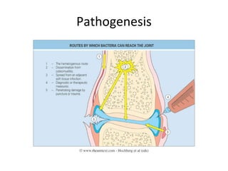 Pathogenesis 