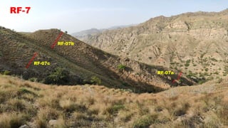 RF-7
RF-07b
RF-07c
RF-07a
 