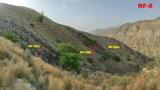 RF-8
RF-08b
RF-08c RF-08a
 