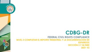CDBG-DR
FEDERAL CIVIL RIGHTS COMPLIANCE
NIVEL 3 COMPLETAR EL REPORTE TRIMESTRAL Y LA DOCUMENTACIÓN DE
ESFUERZOS
SECCIÓN 3 Y M/WBE
2021 V2
 