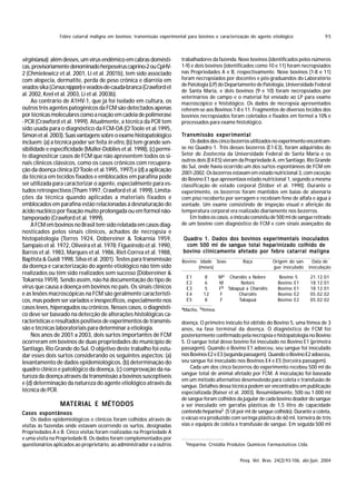 Febre catarral maligna em bovinos: transmissão experimental para bovinos e caracterização do agente etiológico                  95



virginianus); além desses, um vírus endêmico em cabras domésti-           trabalhadores da fazenda. Nove bovinos (identificados pelos números
cas, provisoriamente denominado herpesvírus caprino-2 ou CpHV-            1-9) e dois bovinos (identificados como 10 e 11) foram necropsiados
2 (Chmielewicz et al. 2001, Li et al. 2001b), tem sido associado          nas Propriedades A e B, respectivamente. Nove bovinos (1-8 e 11)
com alopecia, dermatite, perda de peso crônica e diarréia em              foram necropsiados por docentes e pós-graduandos do Laboratório
                                                                          de Patologia (LP) do Departamento de Patologia, Universidade Federal
veados sika (Cervus nippon) e veados-de-cauda-branca (Crawford et
                                                                          de Santa Maria, e dois bovinos (9 e 10) foram necropsiados por
al. 2002, Keel et al. 2003, Li et al. 2003b).                             veterinários de campo e o material foi enviado ao LP para exame
     Ao contrário de A1HV-1, que já foi isolado em cultura, os            macroscópico e histológico. Os dados de necropsia apresentados
outros três agentes patogênicos da FCM são detectados apenas              referem-se aos Bovinos 1-8 e 11. Fragmentos de diversos tecidos dos
por técnicas moleculares como a reação em cadeia de polimerase            bovinos necropsiados foram coletados e fixados em formol a 10% e
- PCR (Crawford et al. 1999). Atualmente, a técnica da PCR tem            processados para exame histológico.
sido usada para o diagnóstico da FCM-OA (O’Toole et al.1995,
Simon et al. 2003). Suas vantagens sobre o exame histopatológico          Transmissão experimental
incluem: (a) a técnica poder ser feita in vitro, (b) tem grande sen-          Os dados dos cinco bezerros utilizados no experimento encontram-
sibilidade e especificidade (Müller-Doblies et al. 1998), (c) permi-      se no Quadro 1. Três desses bezerros (E1-E3), foram adquiridos do
te diagnosticar casos de FCM que não apresentem todos os si-              Setor de Zootecnia da Universidade Federal de Santa Maria e os
                                                                          outros dois (E4-E5) vieram da Propriedade A, em Santiago, Rio Grande
nais clínicos clássicos, como os casos crônicos com recupera-
                                                                          do Sul, onde havia ocorrido um dos surtos espontâneos de FCM em
ção da doença clínica (O’Toole et al.1995, 1997) e (d) a aplicação        2001-2002. Os bezerros estavam em estado nutricional 3, com exceção
da técnica em tecidos fixados e emblocados em parafina pode               do Bovino E1 que apresentava estado nutricional 1, segundo a mesma
ser utilizada para caracterizar o agente, especialmente para es-          classificação de estado corporal (Stöber et al. 1990). Durante o
tudos retrospectivos (Tham 1997, Crawford et al. 1999). Limita-           experimento, os bezerros foram mantidos em baias de alvenaria
ções da técnica quando aplicadas a materiais fixados e                    com piso recoberto por serragem e recebiam feno de alfafa e água à
emblocados em parafina estão relacionadas à desnaturação do               vontade. Um exame consistindo de inspeção visual e aferição da
ácido nucléico por fixação muito prolongada ou em formol não-             temperatura corporal era realizado diariamente nos bezerros.
tamponado (Crawford et al. 1999).                                             Em todos os casos, o inóculo consistiu de 500 ml de sangue retirado
     A FCM em bovinos no Brasil tem sido relatada em casos diag-          de um bovino com diagnóstico de FCM e com sinais avançados da
nosticados pelos sinais clínicos, achados de necropsia e
histopatologia (Torres 1924, Döbereiner & Tokarnia 1959,                   Quadro 1. Dados dos bovinos experimentais inoculados
Sampaio et al. 1972, Oliveira et al. 1978; Figueiredo et al. 1990,          com 500 ml de sangue total heparinizado colhido de
Barros et al. 1983, Marques et al. 1986, Riet-Correa et al. 1988,          bovino clinicamente afetado por febre catarral maligna
Baptista & Guidi 1998, Silva et al. 2001). Testes para transmissão        Bovino Idade Sexo              Raça          Origem do san-  Data de
da doença e caracterização do agente etiológico não têm sido                     (meses)                               gue inoculado inoculação
realizados ou têm sido realizados sem sucesso (Döbereiner &
                                                                            E1      8        M a Charolês x Nelore        Bovino 5         21.12.01
Tokarnia 1959). Sendo assim, não há documentação do tipo de                 E2      6        M         Nelore            Bovino E1         18.12.01
vírus que causa a doença em bovinos no país. Os sinais clínicos             E3      5        F b Tabapuã x Charolês      Bovino E1         18.12.01
e as lesões macroscópicas na FCM são geralmente característi-               E4      12        F       Charolês           Bovino E2         05.02.02
cos, mas podem ser variados e inespecíficos, especialmente nos              E5      8         F       Tabapuã            Bovino E2         05.02.02
casos leves, hiperagudos ou crônicos. Nesses casos, o diagnósti-          aMacho, bfêmea.
co deve ser baseado na detecção de alterações histológicas ca-
racterísticas e resultados positivos de experimentos de transmis-         doença. O primeiro inóculo foi obtido do Bovino 5, uma fêmea de 3
são e técnicas laboratoriais para determinar a etiologia.                 anos, na fase terminal da doença. O diagnóstico de FCM foi
     Nos anos de 2001 a 2003, dois surtos importantes de FCM              posteriormente confirmado pela necropsia e histopatologia no Bovino
ocorreram em bovinos de duas propriedades do município de                 5. O sangue total desse bovino foi inoculado no Bovino E1 (primeira
Santiago, Rio Grande do Sul. O objetivo deste trabalho foi estu-          passagem). Quando o Bovino E1 adoeceu, seu sangue foi inoculado
dar esses dois surtos considerando os seguintes aspectos: (a)             nos Bovinos E2 e E3 (segunda passagem). Quando o Bovino E2 adoeceu,
levantamento de dados epidemiológicos, (b) determinação do                seu sangue foi inoculado nos Bovinos E4 e E5 (terceira passagem).
quadro clínico e patológico da doença, (c) comprovação da na-                 Cada um dos cinco bezerros do experimento recebeu 500 ml do
                                                                          sangue total de animal afetado por FCM. A inoculação foi baseada
tureza da doença através da transmissão a bovinos susceptíveis
                                                                          em um método alternativo desenvolvido para coleta e transfusão de
e (d) determinação da natureza do agente etiológico através da            sangue. Detalhes dessa técnica podem ser encontrados em publicação
técnica de PCR.                                                           especializada (Raiser et al. 2003). Resumidamente, 500 ou 1.000 ml
                                                                          de sangue foram colhidos da jugular de cada bovino doador do sangue
                 MATERIAL E MÉTODOS
                 MATERIAL                                                 a ser inoculado em garrafas plásticas de 1,5 litro de capacidade
Casos espontâneos                                                         contendo heparina5 (5 UI por ml de sangue colhido). Durante a coleta,
     Os dados epidemiológicos e clínicos foram colhidos através de        o vácuo era produzido com seringa plástica de 60 ml, torneira de três
visitas às fazendas onde estavam ocorrendo os surtos, designadas          vias e equipos de coleta e transfusão de sangue. Em seguida 500 ml
Propriedades A e B. Cinco visitas foram realizadas na Propriedade A
e uma visita na Propriedade B. Os dados foram complementados por
                                                                            5Heparina:
questionários aplicados ao proprietário, ao administrador e a outros                     Cristália Produtos Químicos Farmacêuticos Ltda.


                                                                                                       Pesq. Vet. Bras. 24(2):93-106, abr./jun. 2004
 