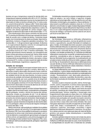 98                                                        Shana L. Garmatz et al.



bovinos em que a temperatura corporal foi aferida (6/6) com                Os linfonodos mesentéricos estavam ocasionalmente aumen-
temperaturas corporais variando entre 40,5 e 41,5°C. Corrimen-         tados de volume e ao corte tinham a superfície irregular,
to nasal seroso que evoluía para mucoso ou mucopurulento foi           edematosa ou hemorrágica (Bov. 4-8). Na superfície de corte dos
observado em todos os bovinos afetados (Fig. 2). Lesões ocula-         linfonodos retrofaríngeos, prescapulares e ilíacos do Bovino 11
res, características da forma “cabeça-e-olho”, foram observadas        observavam-se proliferações nodulares claras de 2 a 4 mm de
freqüentemente (6/11) e consistiam predominantemente de opa-           diâmetro concentradas na região medular (hiperplasia linfóide).
cidade de córnea (Fig. 3) hiperemia das conjuntivas e esclera. Os      As leptomeninges estavam difusamente hiperêmicas nos Bovi-
bovinos com intensa opacidade de córnea estavam cegos.                 nos 2, 5 e 8. Lesões infreqüentes incluíram erosões lineares na
Hipópion ou hifema foi observado em dois bovinos (Bov. 7 e 11).        mucosa do esôfago e corrimento uterino catarral com ulcera-
    Uma manifestação clínica quase constante nos dois surtos           ção focal na vulva (Bov. 6 e 8).
(9/11) consistiu de distúrbios nervosos que variavam de intensi-
dade de acordo com o estágio da doença. Consistiam desde               Achados histológicos
apatia, leve incoordenacão ou ataxia acentuada, hipermetria,                Na histologia, observaram-se infiltrados inflamatórios
opistótono, tremores e freqüentes episódios convulsivos. Três          mononucleares perivasculares, necrose do epitélio de revesti-
bovinos (Bov. 2, 7 e 8) apresentaram agressividade. Os Bovinos         mento e, especialmente, vasculite fibrinóide em múltiplos ór-
1, 3 e 6 apresentaram dispnéia e estertor em conseqüência da           gãos e tecidos. A intensidade das lesões vasculares variou desde
obstrução das vias respiratórias superiores.                           mínimo infiltrado linfocítico na adventícia até extenso compro-
    Na fase final da doença, as fezes tornavam-se pastosas e diar-     metimento transmural. Essas lesões eram comumente observa-
réia profusa ocorreu em 4 dos 11 bovinos examinados. Três              das em artérias e arteríolas dos rins, bexiga, cornetos nasais,
bovinos apresentaram intensa salivação, em conseqüência das            encéfalo e rete mirabile carotídea (Fig. 5). Consistiam de infiltrado
lesões erosivo-ulcerativas na mucosa oral. Outros sinais menos         inflamatório mononuclear na parede, predominantemente na
freqüentes incluíram hematúria (2/11), corrimento vulvar               adventícia, estendendo-se para os espaços perivasculares.
mucopurulento acompanhada de erosões, ulcerações e miíase              Necrose fibrinóide focal ou segmentar era ocasionalmente ob-
na mucosa (2/11), crostas e erosões na pele da região do lombo         servada na túnica média das artérias de médio e pequeno calibre
e flanco, desidratação, inapetência e caquexia (1/11).                 do rim (Fig. 6). Ocasionalmente observava-se obliteração da luz
                                                                       vascular devido ao intenso infiltrado inflamatório transmural,
Achados de necropsia                                                   com tumefação e hiperplasia de células endoteliais e miócitos e
    Os principais achados de necropsia incluíam lesões nos tra-        infiltrado inflamatório na íntima.
tos digestivo, respiratório superior e urinário. Além disso, as             As células inflamatórias eram compostas predominantemen-
alterações oculares observadas clinicamente foram confirma-            te por linfócitos, e outras células mononucleares indistintas, com
das na necropsia. Erosões e ulcerações ocorreram na mucosa             moderado pleomorfismo, núcleos vesiculares ou moderadamente
da cavidade oral de três dos nove bovinos. As lesões erosivo-          corados. Ocasionalmente eram observados plasmócitos e
ulcerativas da cavidade oral incluíam almofada dental, língua e        macrófagos, e, raramente, neutrófilos. No interstício, essas célu-
gengiva ocasionando, por vezes, grandes áreas de desprendi-            las formavam acúmulos de intensidade variada, geralmente pró-
mento do epitélio. Na mucosa das bochechas havia erosões e             ximos a vasos.
necrose das papilas sensitivas em três dos 9 bovinos. Erosões e             As lesões oculares incluíram vasculite, edema, hemorragia,
úlceras foram observadas na mucosa do abomaso de sete bovi-            ceratite, uveíte e conjuntivite. A córnea estava espessada com
nos e na mucosa intestinal de quatro.                                  separação das fibras estromais por edema e leve infiltrado
    No trato respiratório superior as lesões incluíam hiperemia e      mononuclear e neutrofílico. Em alguns casos havia ulceração
exsudato catarral nas fossas nasais, ocasionalmente acompanha-         do epitélio, tumefação das células epiteliais remanescentes e
dos de petéquias, erosões e úlceras da mucosa das narinas.             neovascularização. Intensa congestão e hemorragia eram
Hiperemia, erosões ou ulcerações de até 1 cm de diâmetro               freqüentemente observadas no corpo ciliar e íris. Hemorragia
recobertas por placas diftéricas ou exsudato purulento estavam         na câmara anterior foi observada em um bovino. As lesões infla-
presentes nos cornetos nasais de seis bovinos. Havia tampões de        matórias mais acentuadas com vasculite necrosante concentra-
exsudato catarral ou fibrinopurulento na luz da traquéia,              vam-se no limbo, esclera, episclera, conjuntiva bulbar e íris. Os
brônquios e porção inicial dos bronquíolos de dois bovinos (Bov.       vasos da retina e corpo ciliar eram menos afetados. Nos casos
2 e 5) ou petéquias e víbices na mucosa da traquéia e brônquios        mais graves observava-se vasculite circunjacente ao nervo óptico,
de outros dois (Bov. 7 e 8).                                           corpo ciliar, limbo e ocasionalmente na esclera, córnea e
    Nefrite intersticial, representada por múltiplos focos pálidos     conjuntiva. Linfócitos, macrófagos, neutrófilos e alguns
na superfície natural e de corte (Fig. 4), foi observada na maioria    plasmócitos infiltravam difusamente o interstício. Em um bovi-
dos bovinos (7/9). Esses focos pálidos localizavam-se predomi-         no a câmara anterior esta repleta por placa de material fibrilar
nantemente no córtex renal, eram branco-amarelados, com 2 a            protéico com poucas células mononucleares e neutrófilos
4 mm de diâmetro e ocasionalmente apresentavam um pequeno              (hipópion fibrinoso).
orifício central, correspondente a uma artéria de pequeno cali-             As lesões epiteliais incluíram necrose com erosão e/ou ulcera-
bre. Na bexiga as lesões também foram freqüentes (7/9) e carac-        ção, acompanhadas de infiltrado inflamatório mononuclear se-
terizadas por edema acentuado da parede, petéquias e equimoses         melhante ao infiltrado observado nos vasos. Eram invariavelmen-
na mucosa.                                                             te acompanhadas de vasculite leve a moderada nas camadas

Pesq. Vet. Bras. 24(2):93-106, abr./jun. 2004
 