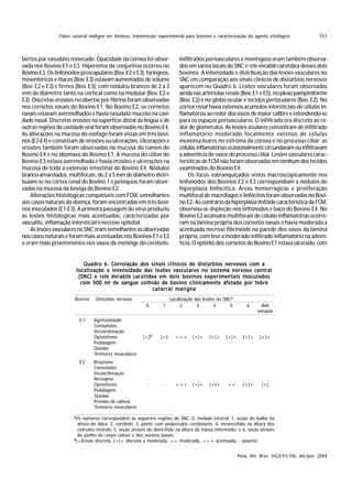 Febre catarral maligna em bovinos: transmissão experimental para bovinos e caracterização do agente etiológico                      101



bertos por exsudato ressecado. Opacidade da córnea foi obser-                Infiltrados perivasculares e meníngeos eram também observa-
vada nos Bovino E1 e E3. Hiperemia da conjuntiva ocorreu no                  dos em vários locais do SNC e rete mirabile carotídea desses dois
Bovino E3. Os linfonodos prescapulares (Bov. E2 e E3), faríngeos,            bovinos. A intensidade e distribuição das lesões vasculares no
mesentéricos e ilíacos (Bov. E3) estavam aumentados de volume                SNC em comparação aos sinais clínicos de distúrbios nervosos
(Bov. E2 e E3) e firmes (Bov. E3), com nódulos brancos de 2 a 3              aparecem no Quadro 6. Lesões vasculares foram observadas
mm de diâmetro tanto na cortical como na medular (Bov. E2 e                  ainda nas arteríolas renais (Bov. E1 e E5), no plexo pampiniforme
E3). Discretas erosões recobertas por fibrina foram observadas               (Bov. E2) e no globo ocular e tecidos perioculares (Bov. E2). No
nos cornetos nasais do Bovino E1. No Bovino E2, os cornetos                  córtex renal havia extensos acúmulos intersticiais de células in-
nasais estavam avermelhados e havia exsudato mucoso na cavi-                 flamatórias ao redor dos vasos de maior calibre e estendendo-se
dade nasal. Discretas erosões na superfície distal da língua e de            para os espaços perivasculares. O infiltrado era discreto ao re-
outras regiões da cavidade oral foram observadas no Bovino E4.               dor de glomérulos. As lesões oculares consistiram de infiltrado
As alterações na mucosa do esôfago foram vistas em três bovi-                inflamatório moderado focalmente extenso de células
nos (E2-E4) e consistiam de erosões ou ulcerações. Ulcerações e              mononucleares no estroma da córnea e no processo ciliar; as
erosões também foram observadas na mucosa do rúmen do                        células inflamatórias ocasionalmente circundavam ou infiltravam
Bovino E4 e no abomaso do Bovino E1. A mucosa do cólon do                    a adventícia de vasos do processo ciliar. Lesões vasculares carac-
Bovino E3 estava avermelhada e havia erosões e ulcerações na                 terísticas de FCM não foram observadas em nenhum dos tecidos
mucosa de toda a extensão intestinal do Bovino E4. Nódulos                   examinados do Bovino E4.
branco-amarelados, multifocais, de 2 a 5 mm de diâmetro distri-                  Os focos esbranquiçados vistos macroscopicamente nos
buíam-se no córtex renal do Bovino 1 e petéquias foram obser-                linfonodos dos Bovinos E2 e E3 correspondiam a nódulos de
vadas na mucosa da bexiga do Bovino E2.                                      hiperplasia linfocítica. Áreas hemorrágicas e proliferação
    Alterações histológicas compatíveis com FCM, semelhantes                 multifocal de macrófagos e linfócitos foram observadas no Bovi-
aos casos naturais da doença, foram encontradas em três bovi-                no E2. Ao contrário da hiperplasia linfóide característica da FCM,
nos inoculados (E1-E3). A primeira passagem do vírus produziu                observou-se depleção nos linfonodos e baço do Bovino E4. No
as lesões histológicas mais acentuadas, caracterizadas por                   Bovino E2 acúmulos multifocais de células inflamatórias ocorre-
vasculite, inflamação intersticial e necrose epitelial.                      ram na lâmina própria dos cornetos nasais e havia moderada a
    As lesões vasculares no SNC eram semelhantes às observadas               acentuada necrose fibrinóide na parede dos vasos da lâmina
nos casos naturais e foram mais acentuadas nos Bovinos E1 e E2               própria, com leve a moderado infiltrado inflamatório na adven-
e eram mais proeminentes nos vasos da meninge do cerebelo.                   tícia. O epitélio dos cornetos do Bovino E1 estava ulcerado, com


                           Quadro 6. Correlação dos sinais clínicos de distúrbios nervosos com a
                        localização e intensidade das lesões vasculares no sistema nervoso central
                         (SNC) e rete mirabile carotídea em dois bovinos experimentais inoculados
                          com 500 ml de sangue colhido de bovino clinicamente afetado por febre
                                                      catarral maligna
                       Bovino     Distúrbio nervoso                      Localização das lesões no SNCa
                                                           0        1         2       3       4       5        6     Rete
                                                                                                                    mirabile
                         E1      Agressividade
                                 Convulsões
                                 Incoordenação
                                 Opistótono               (+) b    (+)     +++     (+)+    (+)+     (+)+     (+)+     (+)+
                                 Pedalagem
                                 Quedas
                                 Tremores musculares
                         E2      Bruxismo
                                 Convulsões
                                 Incoordenação
                                 Nistagmo
                                 Opistótono                 -       -      +++     (+)+    (+)+      ++      (+)+      (+)
                                 Pedalagem
                                 Quedas
                                 Pressão da cabeça
                                 Tremores musculares

                       aOs  números correspondem as seguintes regiões do SNC: 0, medula cervical; 1, seção do bulbo na
                         altura do óbex; 2, cerebelo; 3, ponte com pedúnculos cerebelares; 4, mesencéfalo na altura dos
                         colículos rostrais; 5, seção através do diencéfalo na altura da massa intermédia; e 6, seção através
                         do joelho do corpo caloso e dos núcleos basais.
                       b(+)Lesão discreta, (+)+ discreta a moderada, ++ moderada, +++ acentuada, - ausente.



                                                                                                           Pesq. Vet. Bras. 24(2):93-106, abr./jun. 2004
 