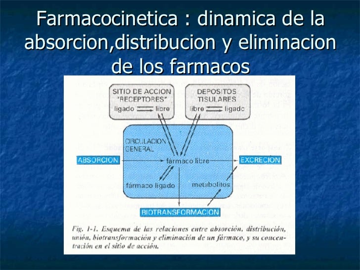 Error más grande con menus dieta metabolismo acelerado