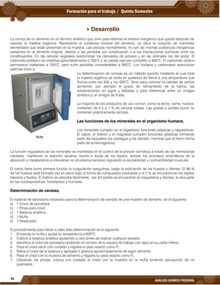 42
ANÁLISIS QUÍMICO PROXIMAL
Desarrollo
La ceniza de un alimento es un término analítico que sirve para referirse al residuo inorgánico que queda después de
calcinar la materia orgánica. Representa el contenido mineral del alimento, es decir el conjunto de nutrientes
elementales que están presentes en la muestra. Las cenizas normalmente, no son las mismas sustancias inorgánicas
presentes en el alimento original, debido a las pérdidas por volatilización o a las interacciones químicas entre los
constituyentes. En las cenizas vegetales predominan los derivados de potasio y en las animales los del sodio. El
carbonato potásico se volatiliza apreciablemente a 700°C y se pierde casi por completo a 900°C. El carbonato sódico
permanece inalterado a 700°C, pero sufre pérdidas considerables a 900°C. Los fosfatos y carbonatos reaccionan
además entre sí.
La determinación de cenizas es un método sencillo mediante el cual toda
la materia orgánica se oxida en ausencia de flama a una temperatura que
fluctúa entre los 550 y los 600°C. Sirve para conocer la calidad de ciertos
alimentos, por ejemplo el grado de refinamiento de la harina, las
adulteraciones en jugos y bebidas y para diferenciar entre un vinagre
sintético y un vinagre de frutas.
La mayoría de los productos de uso común, como la leche, carne, huevos,
contienen de 0.5 a 1 % de cenizas totales. Las grasas y aceites puros no
contienen prácticamente cenizas.
Las funciones de los minerales en el organismo humano.
Los minerales cumplen en el organismo funciones plásticas y reguladoras.
El calcio, el fósforo y el magnesio cumplen funciones plásticas formando
parte del esqueleto los cartílagos y los dientes; mientras que el hierro forma
parte de la hemoglobina.
La función reguladora de los minerales se manifiesta en el control de la presión osmótica a través de las membranas
celulares, mantienen la reacción alcalina, neutra o ácida de los tejidos, activan los procesos enzimáticos de la
absorción y metabolismo e intervienen en el sistema nervioso regulando la excitabilidad y contractibilidad muscular.
El calcio tiene como primera función la coagulación sanguínea, luego la osificación de los huesos y dientes. El 98 %
de los huesos está formado por el calcio bajo la forma de compuestos insolubles y el 2 % se encuentra en los tejidos
blandos y fluidos. El fósforo se absorbe fácilmente, las 3/4 partes se encuentran en esqueletos y dientes, la otra parte
en las nucleoproteínas, fosfolípidos y humores.
Determinación de cenizas.
El material de laboratorio necesario para la determinación de cenizas de una muestra de alimento es el siguiente:
a) 1 Crisol de porcelana
b) 1 Pinza para crisol
c) 1 Balanza analítica
d) 1 Mufla
e) 1 Desecador
El procedimiento para llevar a cabo ésta determinación es el siguiente:
1. Enciende la mufla y ajusta su temperatura a 600ºC.
2. Calibra la balanza analítica ajustando a cero antes de realizar cualquier pesada.
3. Identifica el crisol de porcelana anotando el número de tu equipo de trabajo con lápiz en su parte inferior.
4. Pesa el crisol vacío con cuidado y registra el peso exacto como P1.
5. Retira el crisol de la balanza y agrégale 2 gramos aproximadamente de algún alimento.
6. Pesa el crisol con la muestra de alimento y registra su peso exacto como P2.
7. Utilizando las pinzas, coloca con cuidado el crisol con la muestra en la mufla teniendo precaución de no
quemarse.
Mufla
 