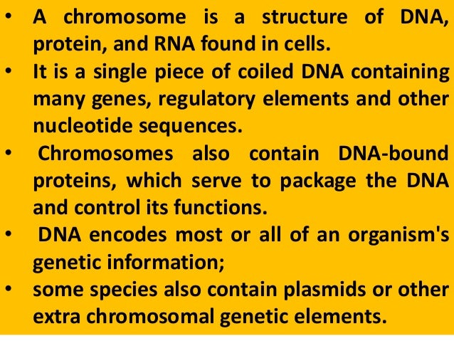 bacterial cytology the dna containing region of this bacterial cell is indicated by the letter