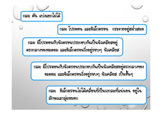 กลม ตัน แบงแยกไมได
กลม โปรตอน และอิเล็กตรอน กระจายอยูสม่ําเสมอ
กลม มีโปรตอนกับนิวตรอนประกอบกันเปนนิวเคลียสอยู
ตรงกลางของอะตอม และอิเล็กตรอนวิ่งอยูรอบๆ นิวเคลียส
กลม มีโปรตอนกับนิวตรอนประกอบกันเปนนิวเคลียสอยูตรงกลางของ
อะตอม และอิเล็กตรอนวิ่งอยูรอบๆ นิวเคลียส เปนชั้นๆ
กลม อิเล็กตรอนไมไดเคลื่อนที่เปนวงกลมที่แนนอน อยูใน
ลักษณะกลุมหมอก
 