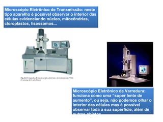 Microscópio Eletrônico de Transmissão: neste tipo aparelho é possível observar o interior das células evidenciando núcleo, mitocôndrias, cloroplastos, lisossomos... Microscópio Eletrônico de Varredura: funciona como uma “super lente de aumento”, ou seja, não podemos olhar o interior das células mas é possível observar toda a sua superfície, além de outros objetos 