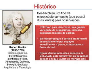 Histórico Robert Hooke (1635-1703) Contribuições em diferentes áreas científicas: Física, Astronomia, Química, Biologia, Geologia, Arquitetura e Tecnologia Naval Desenvolveu um tipo de microscópio composto (que possui duas lentes) para observações.  Utilizou-o para descrever uma grande variedade de organismos, inclusive pequenas lâminas de cortiça.  Ele observou que a cortiça era formada essencialmente por espaços semelhantes a poros, comparados a favos de mel.  Hooke denominou estes espaços de  CÉLULAS , pois lembravam as pequenas células em que viviam os monges nos conventos. 