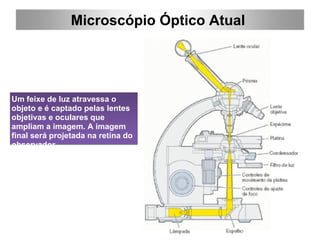 Microscópio Óptico Atual  Um feixe de luz atravessa o objeto e é captado pelas lentes objetivas e oculares que ampliam a imagem. A imagem final será projetada na retina do observador 