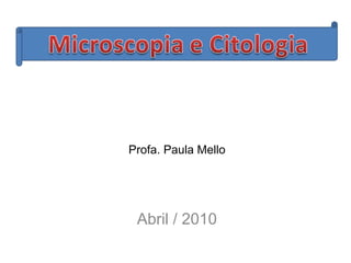 Abril / 2010 Profa. Paula Mello 