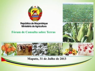 Fórum de Consulta sobre Terras
Maputo, 31 de Julho de 2013
 