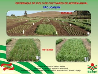 DIFERENÇAS DE CICLO DE CULTIVARES DE AZEVÉM-ANUAL
                                                  SÃO JOAQUIM

                                                                         20/07/2010




                                                  02/12/2009




                                         Governo do Estado de Santa Catarina
                                     Secretaria de Estado da Agricultura e da Pesca
Governo do Estado      Empresa de Pesquisa Agropecuária e Extensão Rural de Santa Catarina – Epagri
 