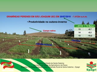 GRAMÍNEAS PERENES EM SÃO JOAQUIM (SC) EM 20/07/2010 - 1.412m a.n.m.

                           • Produtividade no outono-inverno
                                                                                           .../07/10   °C Relva
                                                                                              13         -6,7
                                                Campo nativo
                                                                                              14         -6,2
                                                                                              15        -10,2




                                      Governo do Estado de Santa Catarina
                                  Secretaria de Estado da Agricultura e da Pesca
                    Empresa de Pesquisa Agropecuária e Extensão Rural de Santa Catarina – Epagri
Governo do Estado
 