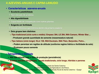 4 AZEVENS-ANUAIS E CAPIM-LANUDO
  • Características azevens-anuais
         Excelente palatibilidade
         Teor elevado de proteína
         Alta digestibilidade
         Capacidade de competição com outras plantas
         Exigente em fertilidade
         Grande diferença agronômica dentro da própria espécie
         Dois grupos bem distintos:
          o Tipo tradicional (ciclo curto a médio): Empasc 304, LE 284, INIA Camaro, Winter Star....
              - Produzem grande quantidade de semente (ressemeadura natural)
          o Tipo italiano (ciclo longo): KLm 138, INIA Escórpio, INIA Titan, Barjumbo, Potro...
               - Podem perenizar em regiões de altitude (conforme regime hídrico e fertilidade do solo)
               - Produzem pouco semente


  • Tetraplóide x diplóide
       Não tem relação com o ciclo de produção (persistência)
       Existem azevéns tetraplóides: anuais tradicionais, ciclo longo, híbridos e perenes

                                          Governo do Estado de Santa Catarina
                                      Secretaria de Estado da Agricultura e da Pesca
                        Empresa de Pesquisa Agropecuária e Extensão Rural de Santa Catarina – Epagri
Governo do Estado
 