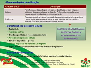 • Recomendações de utilização
Azevém-anual                                                    Utilização
                              Para formação de pastagem em regiões de altitude ou com irrigação
Italiano                      utilizando dosagens altas de fertilizante. Preferencialmente plantar no
                              outono, admitindo plantio em pouco mais tarde.
                              Pastagem anual de inverno, sucessão lavoura-pecuária, melhoramento de
Tradicional                   campo nativo e em áreas de pastagens de subtropicais e tropicais no
                              inverno. Época de plantio definida: março a abril.

  • Características do capim-lanudo
       Rusticidade;                                                      PASTAGEM DE AZEVÉM-ANUAL
       Tolerância ao frio;                                                     PRODUTIVA É AQUELA
       Grande capacidade de ressemeadura natural                               PLANTADA NA ÉPOCA
       Pereniza em regiões de altitude                                            RECOMENDADA!
       Bom teor de proteína ( + 17%)
       Cultivar disponível no mercado: La Magnólia
       Vegeta espontânea em muitos ambientes de baixas temperaturas.


  • Principal recomendação
   Melhoramento de pastagens naturais (principal gramínea) ou naturalizadas.
                                         Governo do Estado de Santa Catarina
                                     Secretaria de Estado da Agricultura e da Pesca
                       Empresa de Pesquisa Agropecuária e Extensão Rural de Santa Catarina – Epagri
Governo do Estado
 